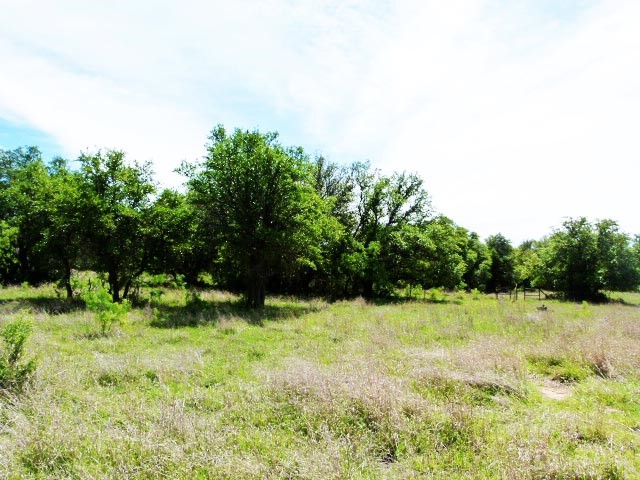 4000 County Road 372 Early TX 76802