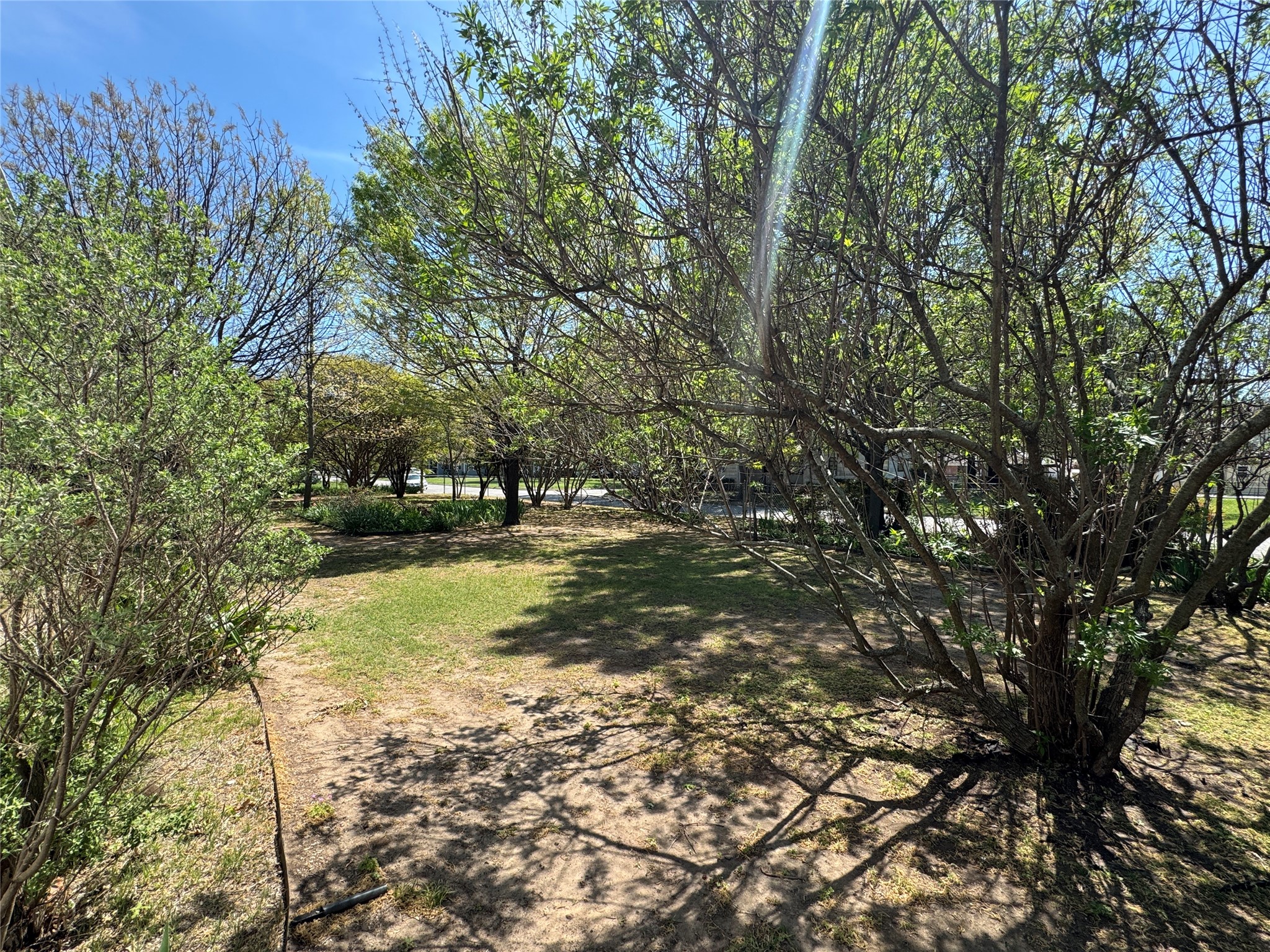 206 Ritchey Street Gainesville TX 76240
