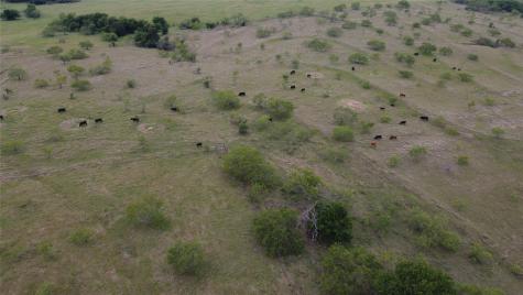 535 Hcr 3350 N Hubbard TX 76648