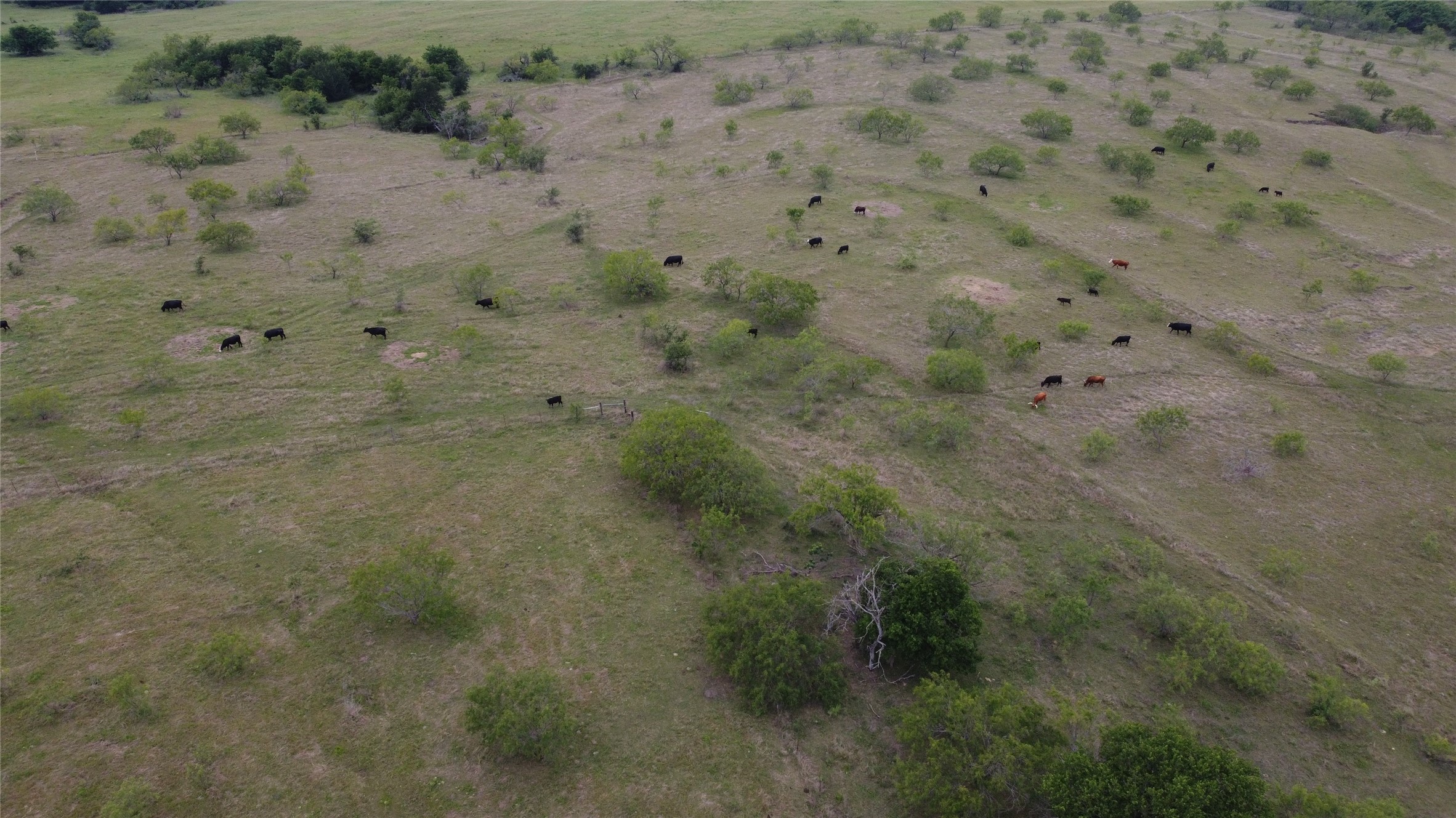 535 Hcr 3350 N Hubbard TX 76648
