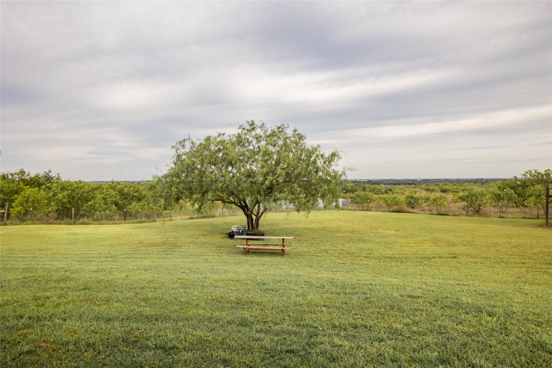 535 Hcr 3350 N Hubbard TX 76648