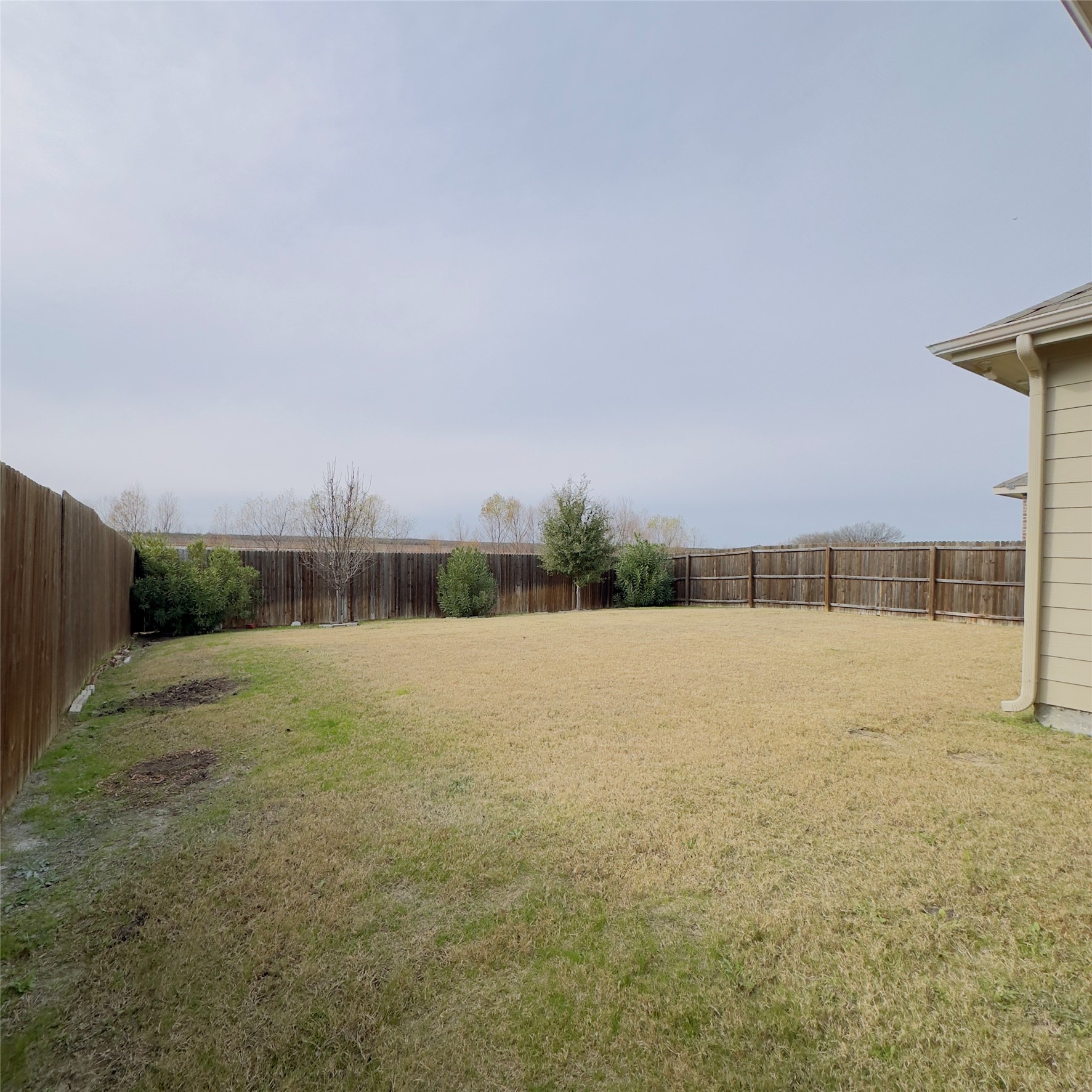 2513 Real Quiet Drive Forney TX 75126