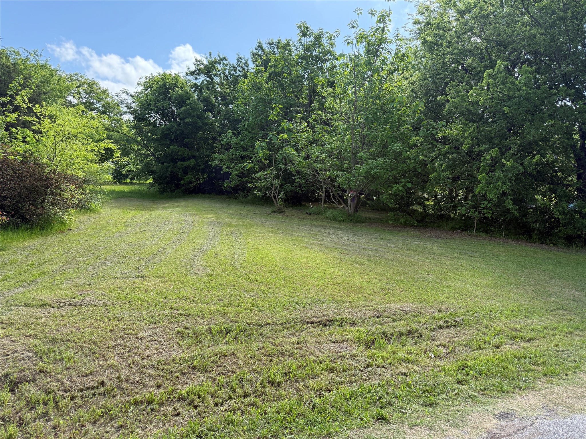 10180 Torama Wills Point TX 75169