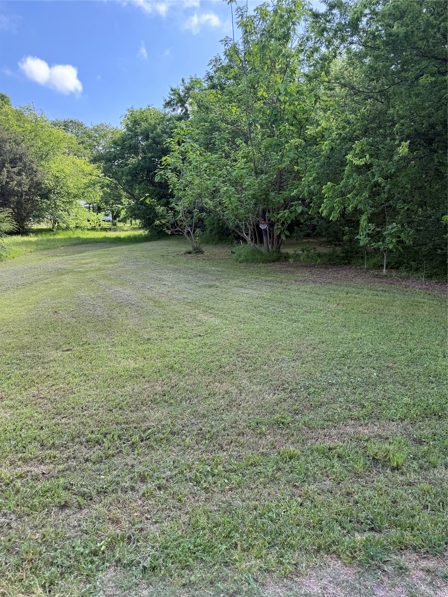 10180 Torama Wills Point TX 75169