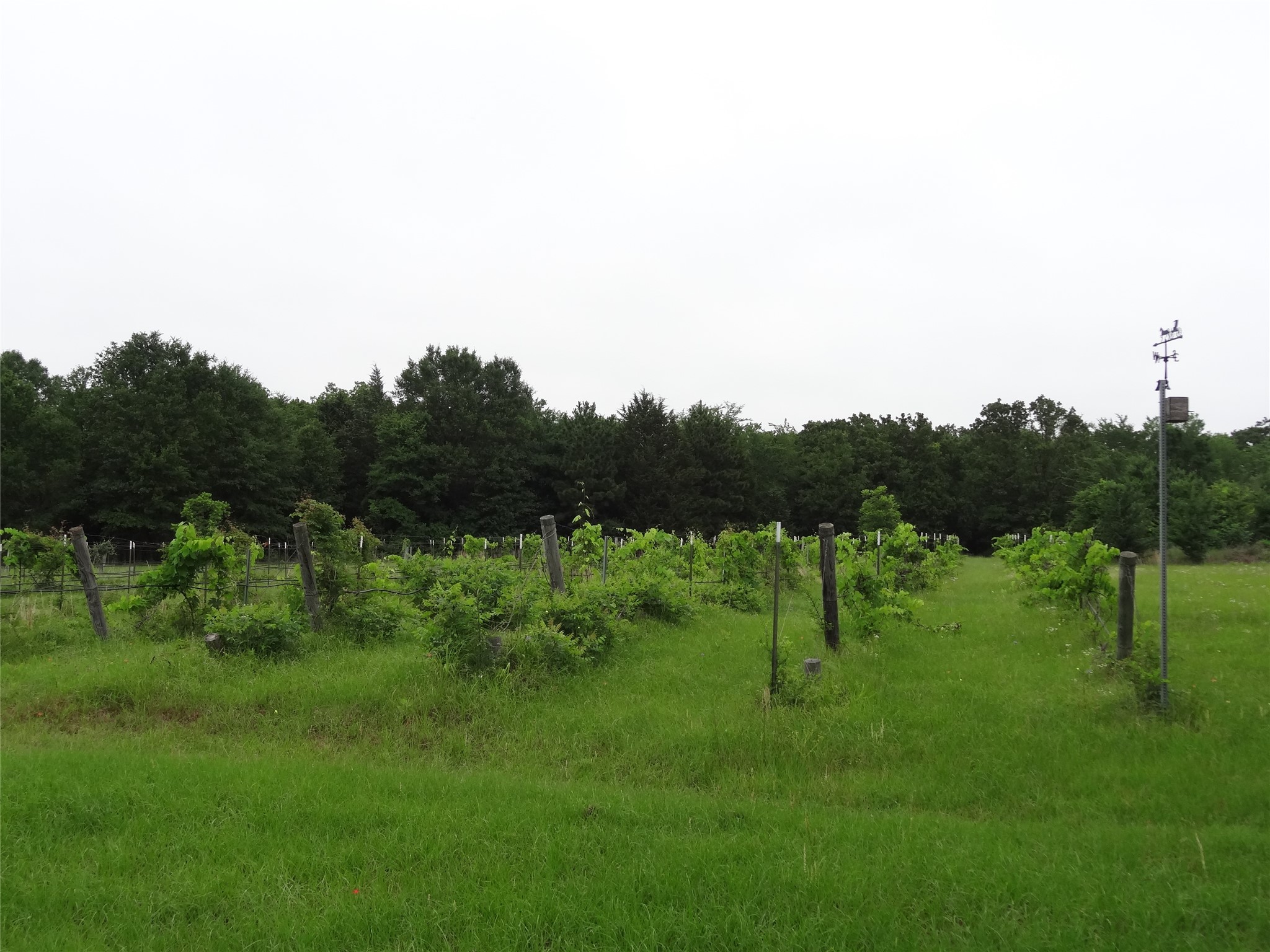 1603 Vz Cr 2908 Eustace TX 75124