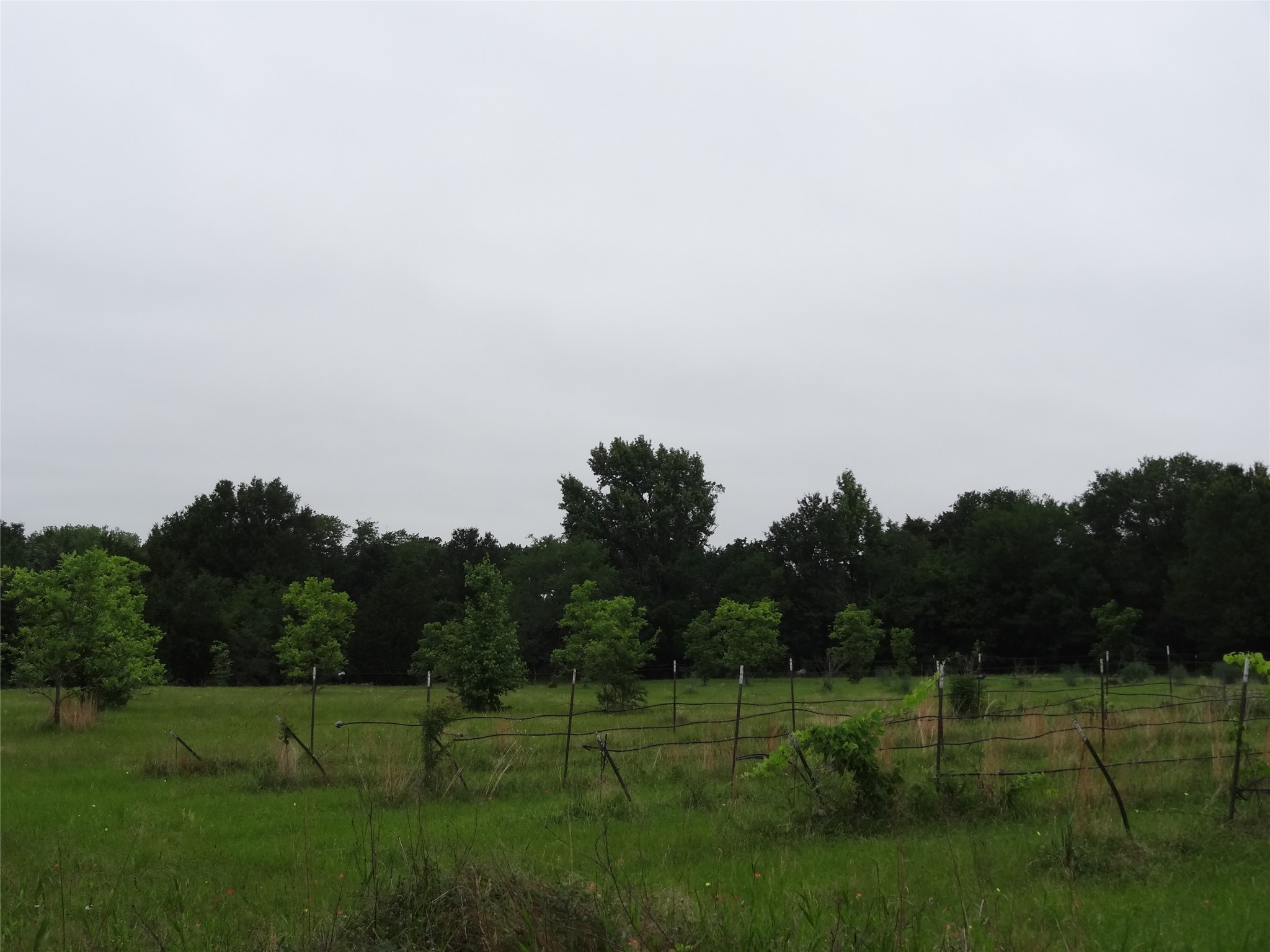 1603 Vz Cr 2908 Eustace TX 75124