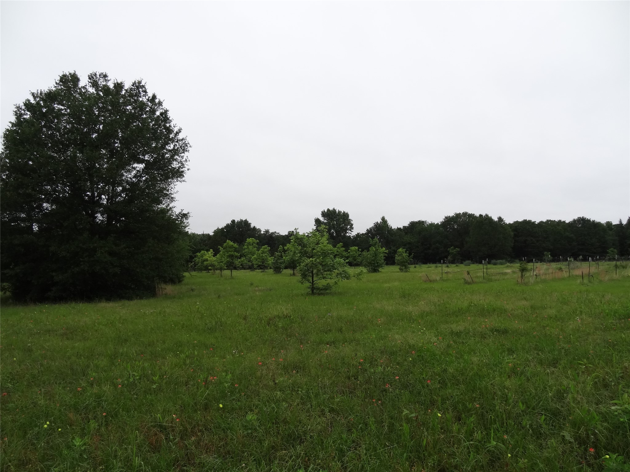 1603 Vz Cr 2908 Eustace TX 75124