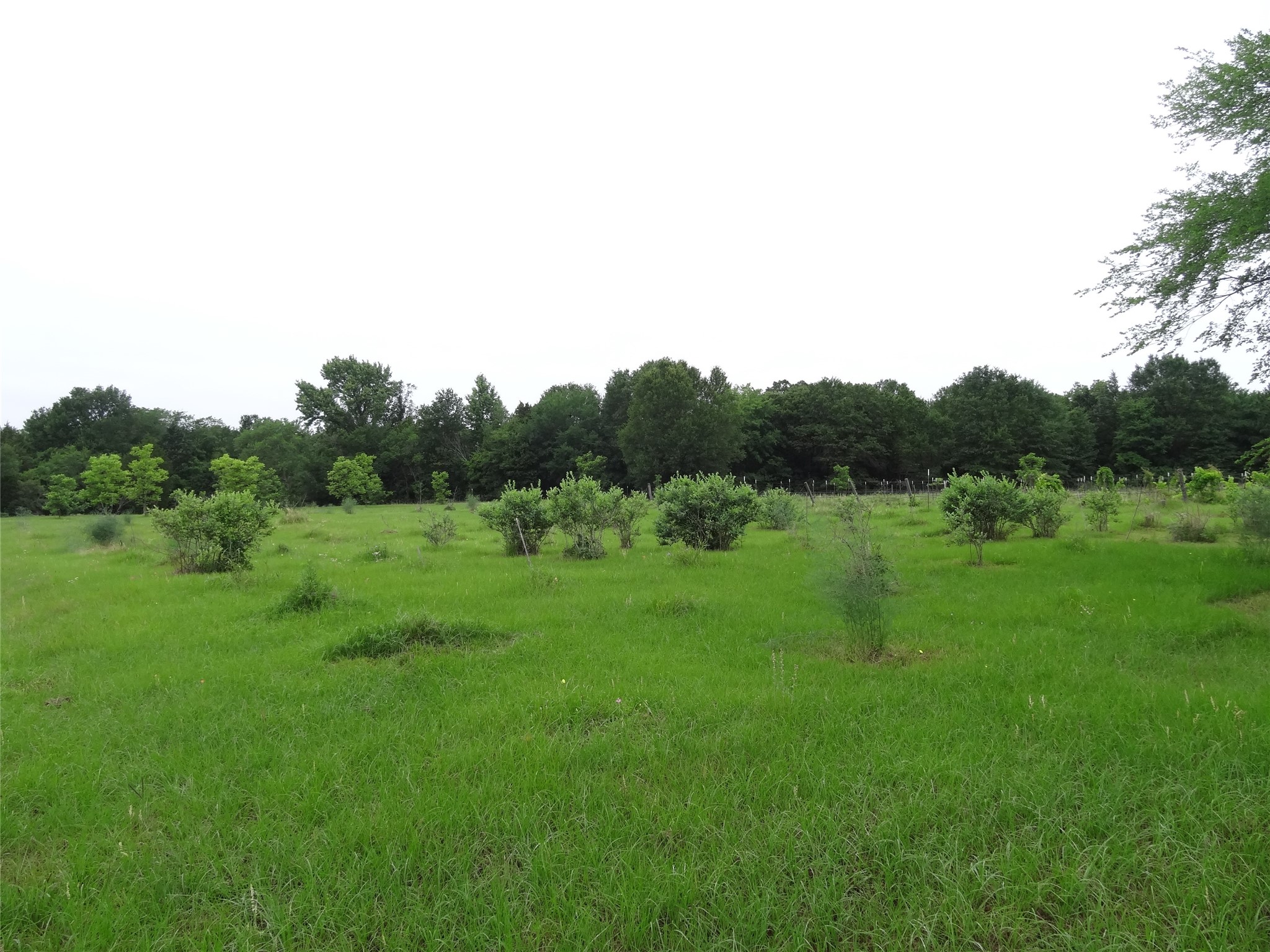 1603 Vz Cr 2908 Eustace TX 75124