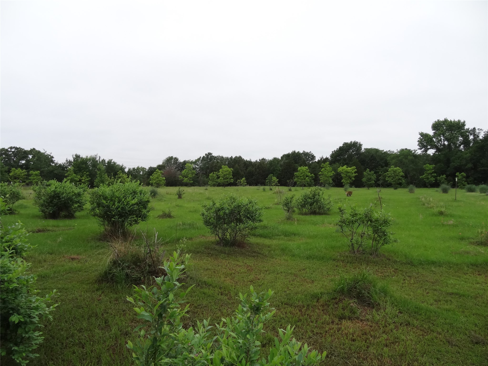 1603 Vz Cr 2908 Eustace TX 75124