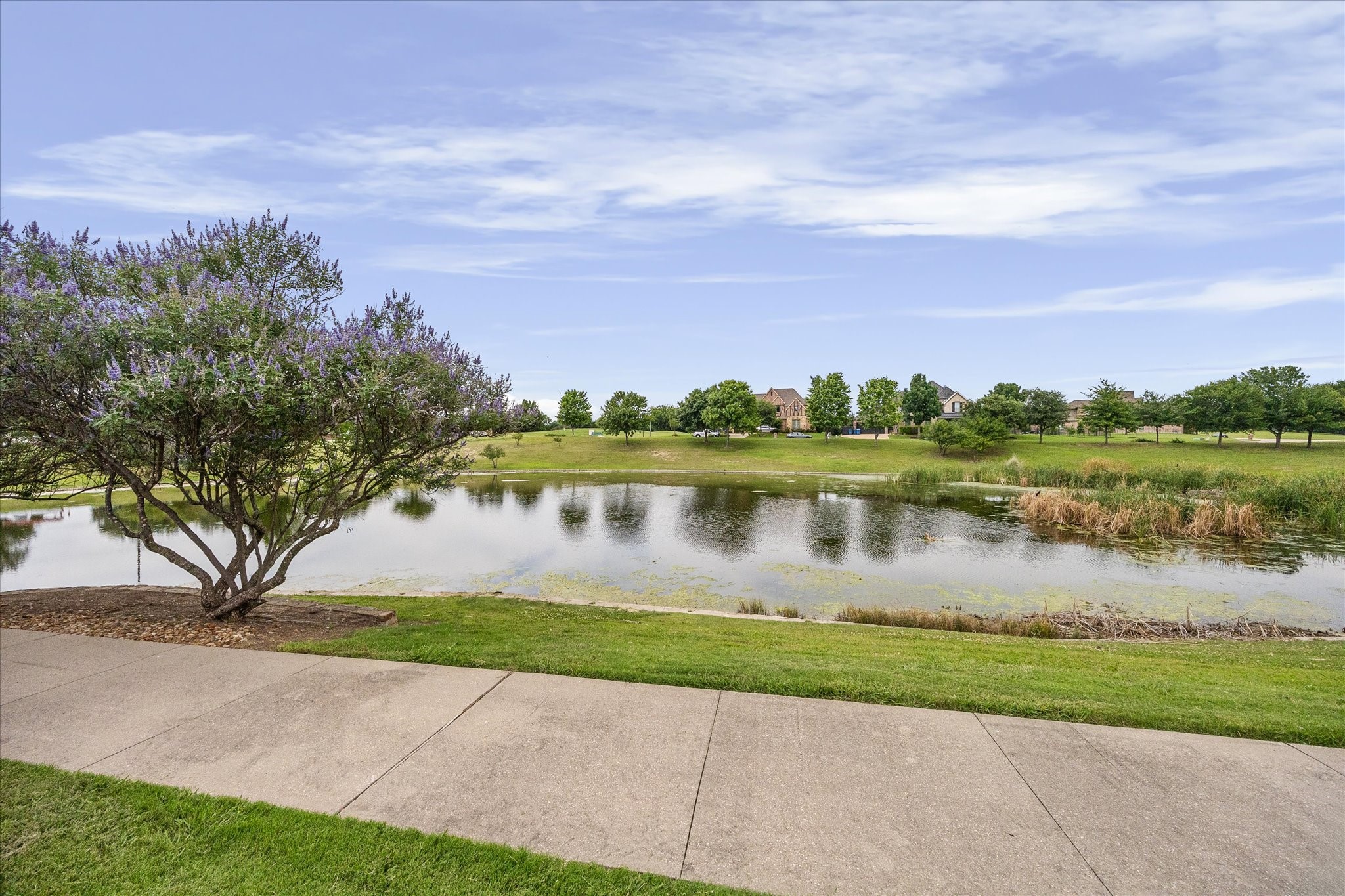 798 Featherstone Drive Rockwall TX 75087