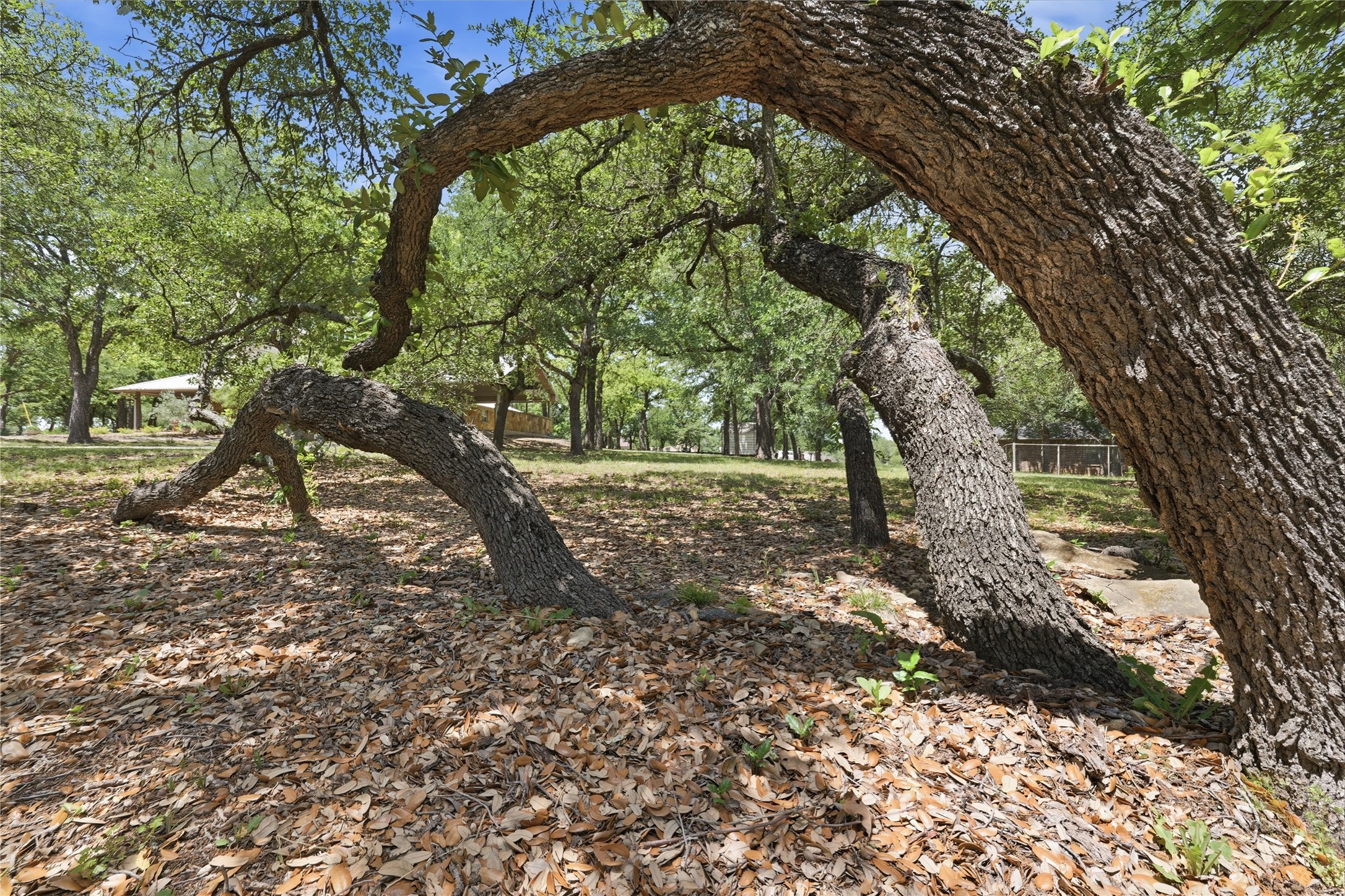 1528 Tidwell Road Brock TX 76087
