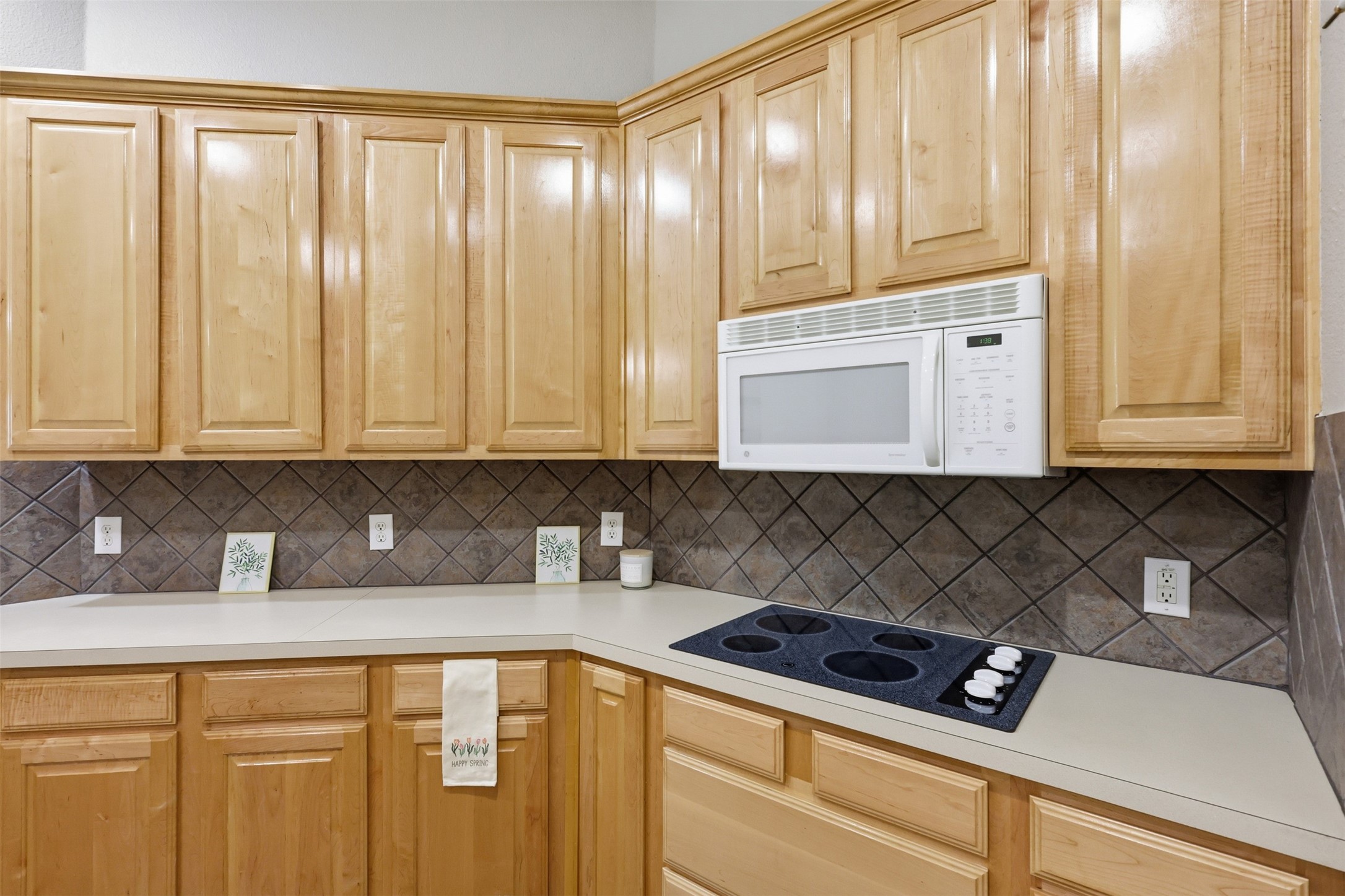 1313 Val Verde Court Denton TX 76210