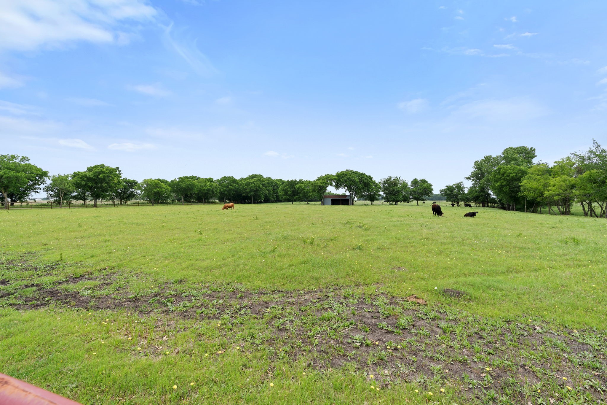 257 Bud Run Road Waxahachie TX 75165