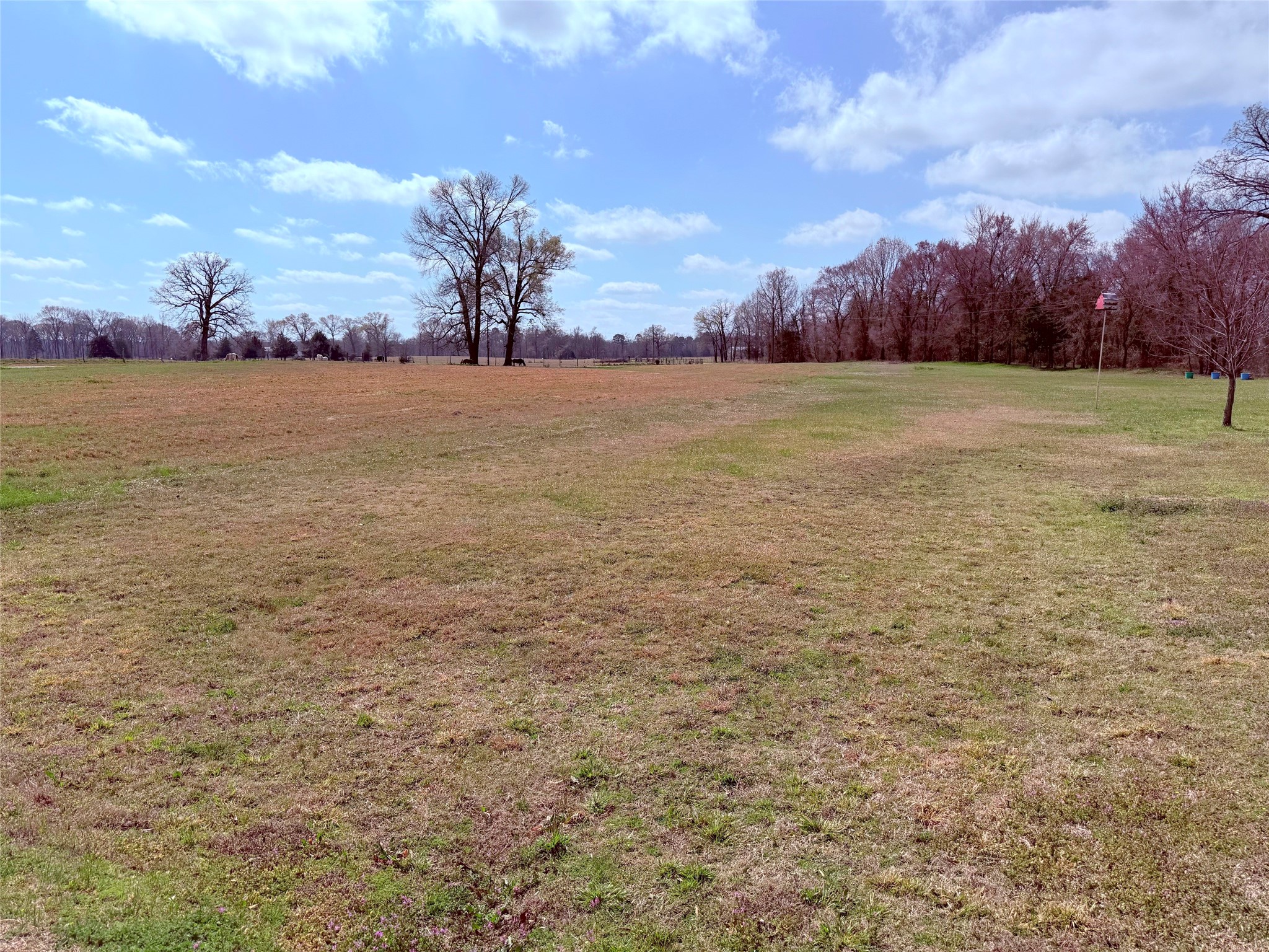 1445 County Road 4450 Winnsboro TX 75494