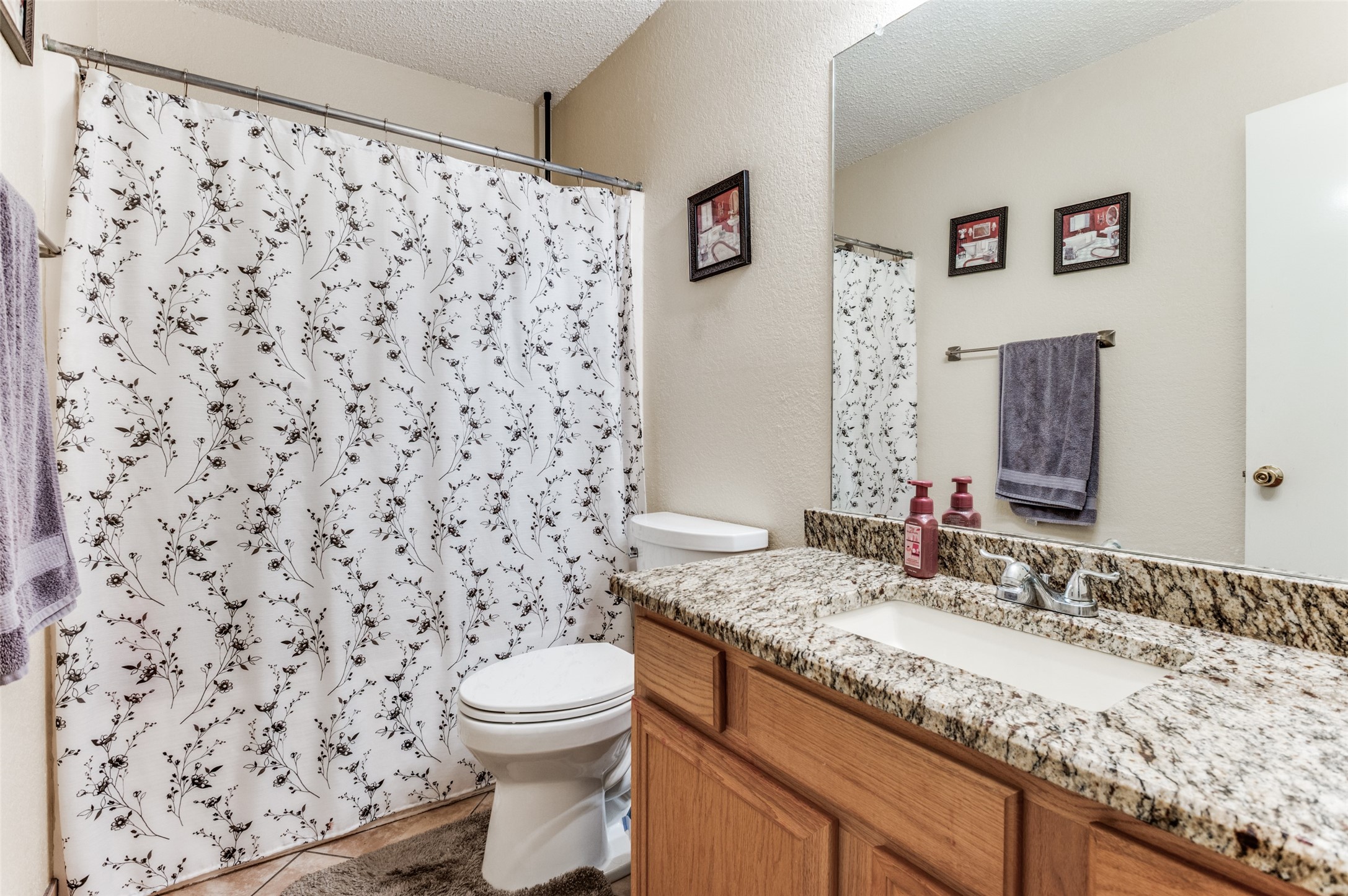 3132 Pheasant Run Court Grand Prairie TX 75052