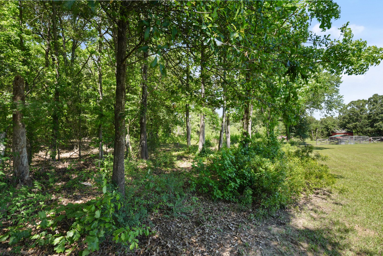155 Rs County Road Emory TX 75440