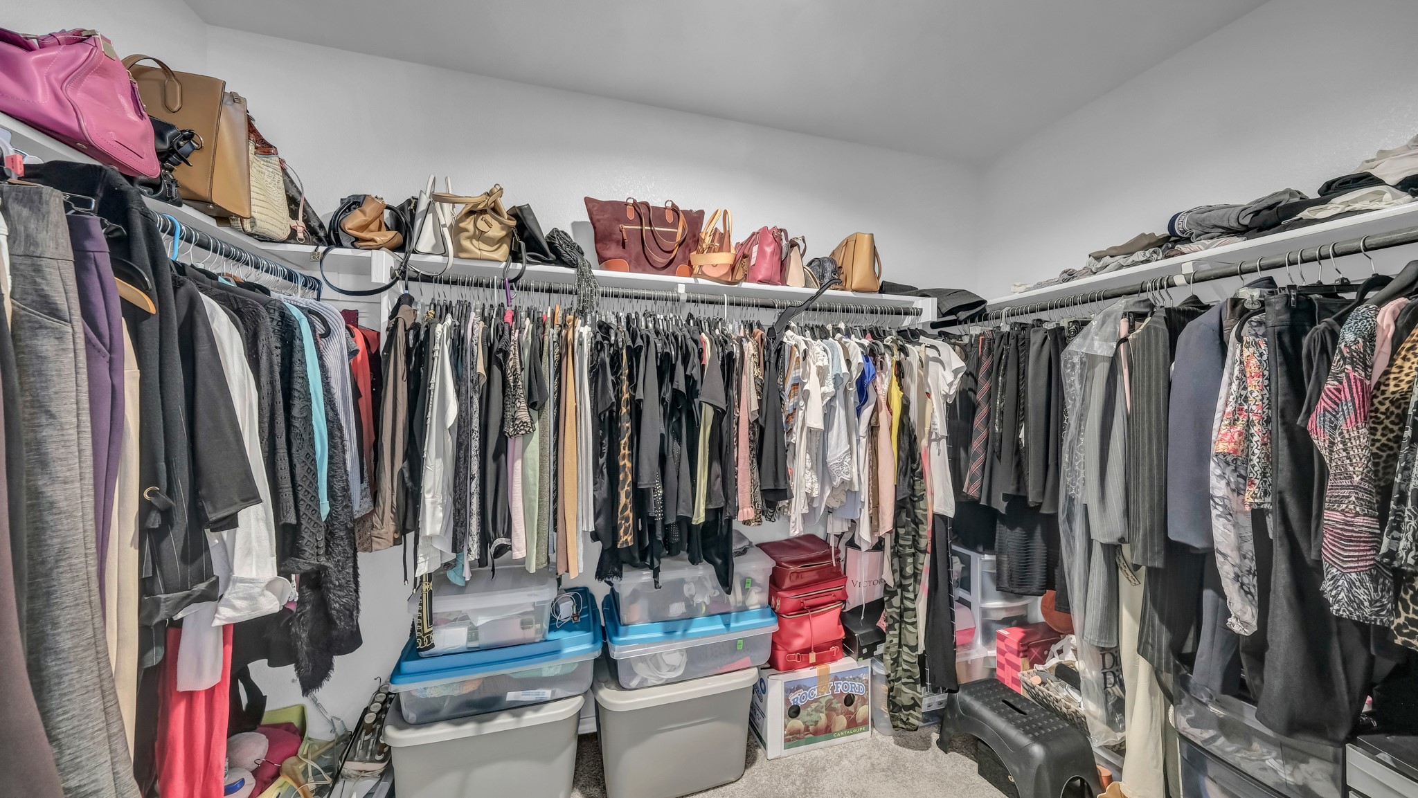199 Birch Forest Lane Boyd TX 76023