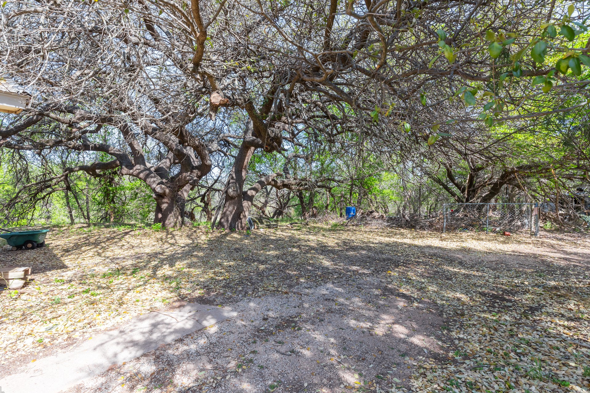 749 Cedar Street Buffalo Gap TX 79601