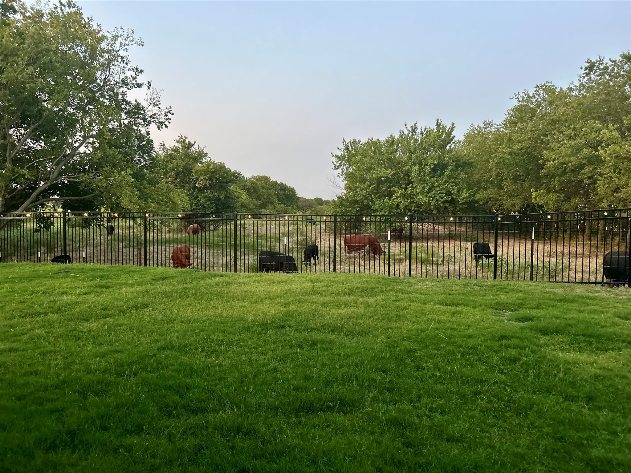 3100 Greenbriar Drive Celina TX 75009