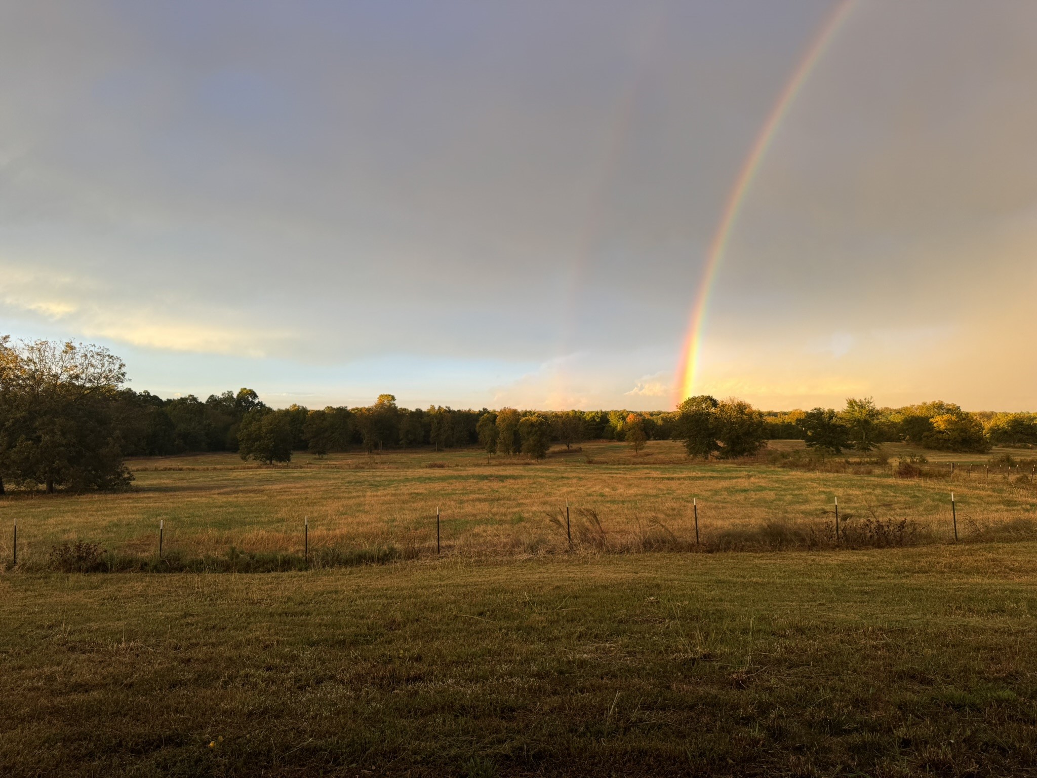 2238 County Road 1081 Greenville TX 75401