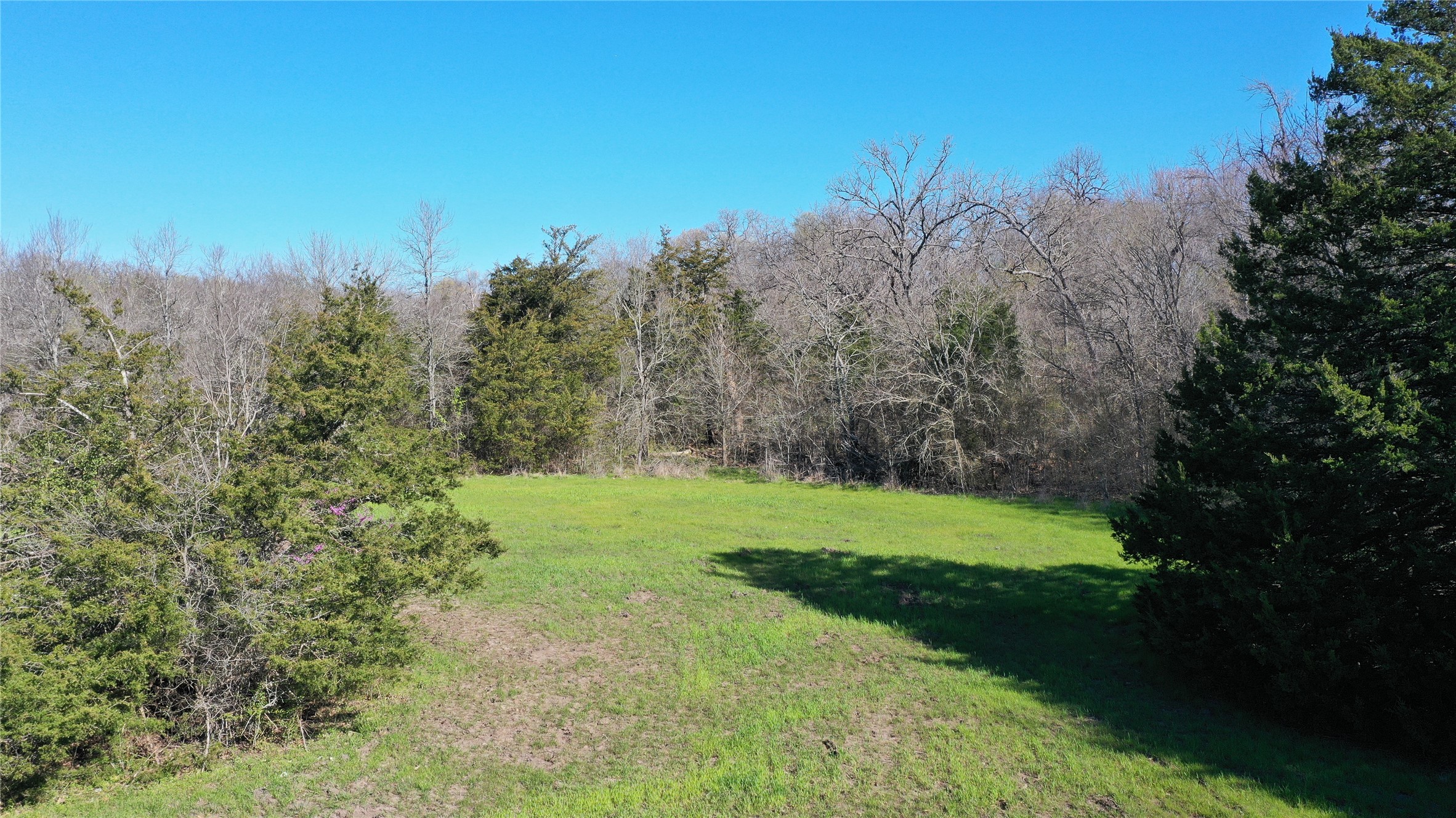 2238 County Road 1081 Greenville TX 75401