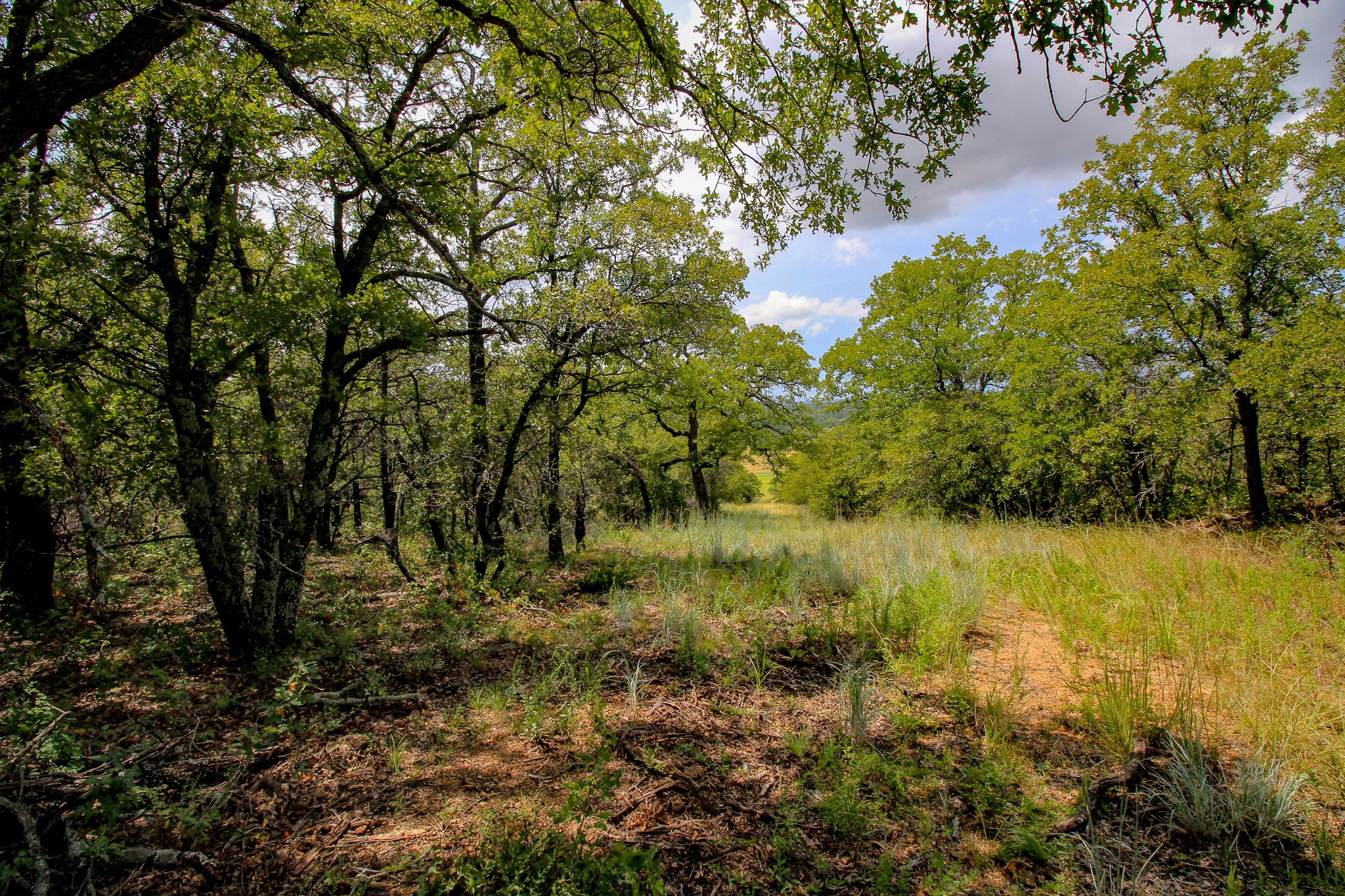 Tbd Crooked Creek Road Bowie TX 76230