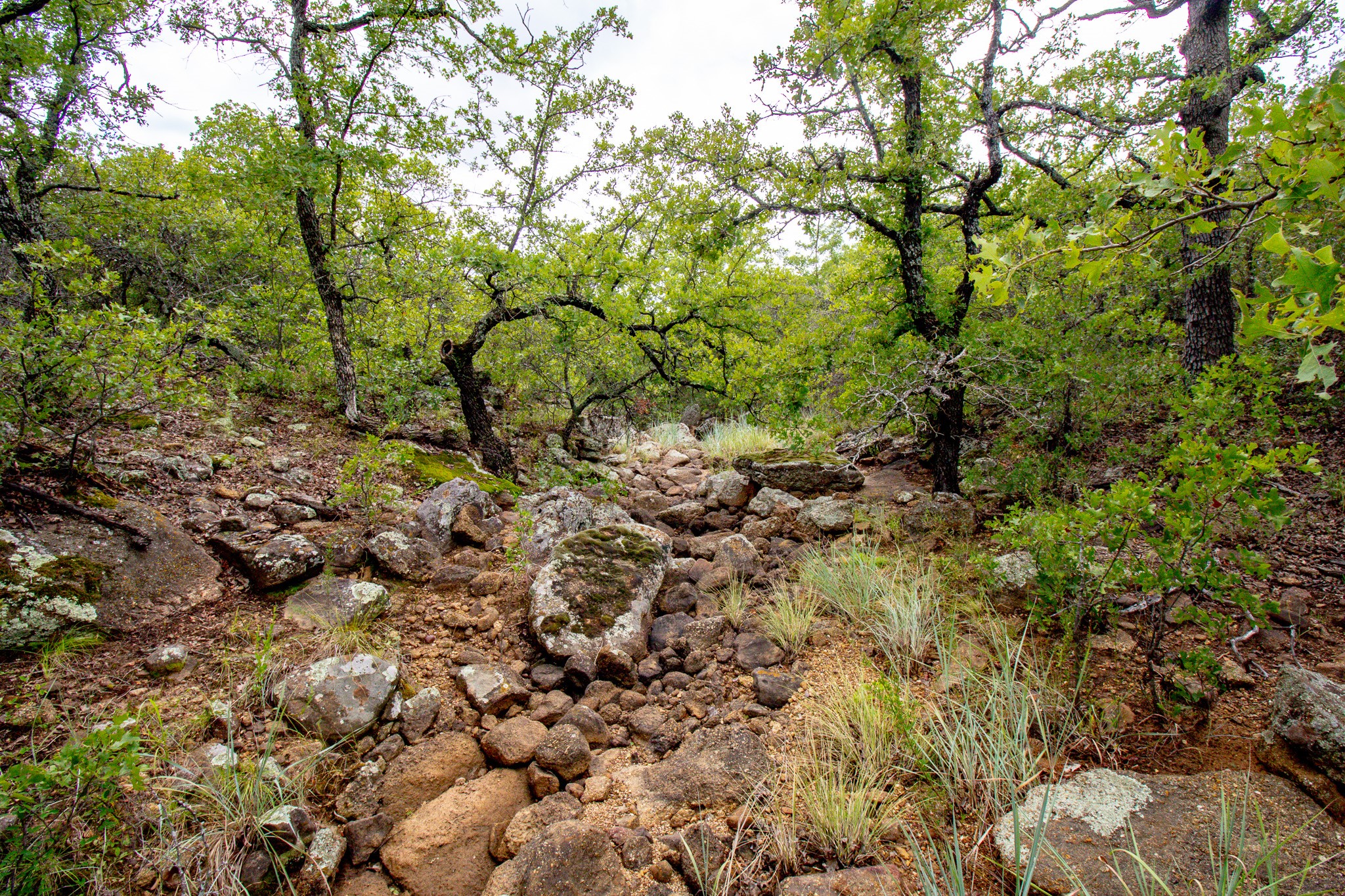 Tbd Crooked Creek Road Bowie TX 76230