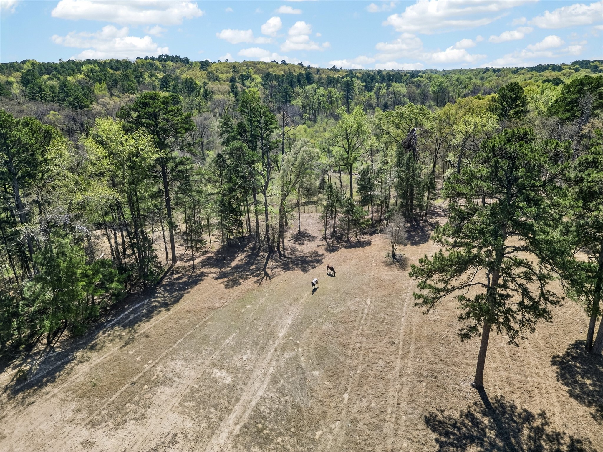19054 Fm 1804 Lindale TX 75771