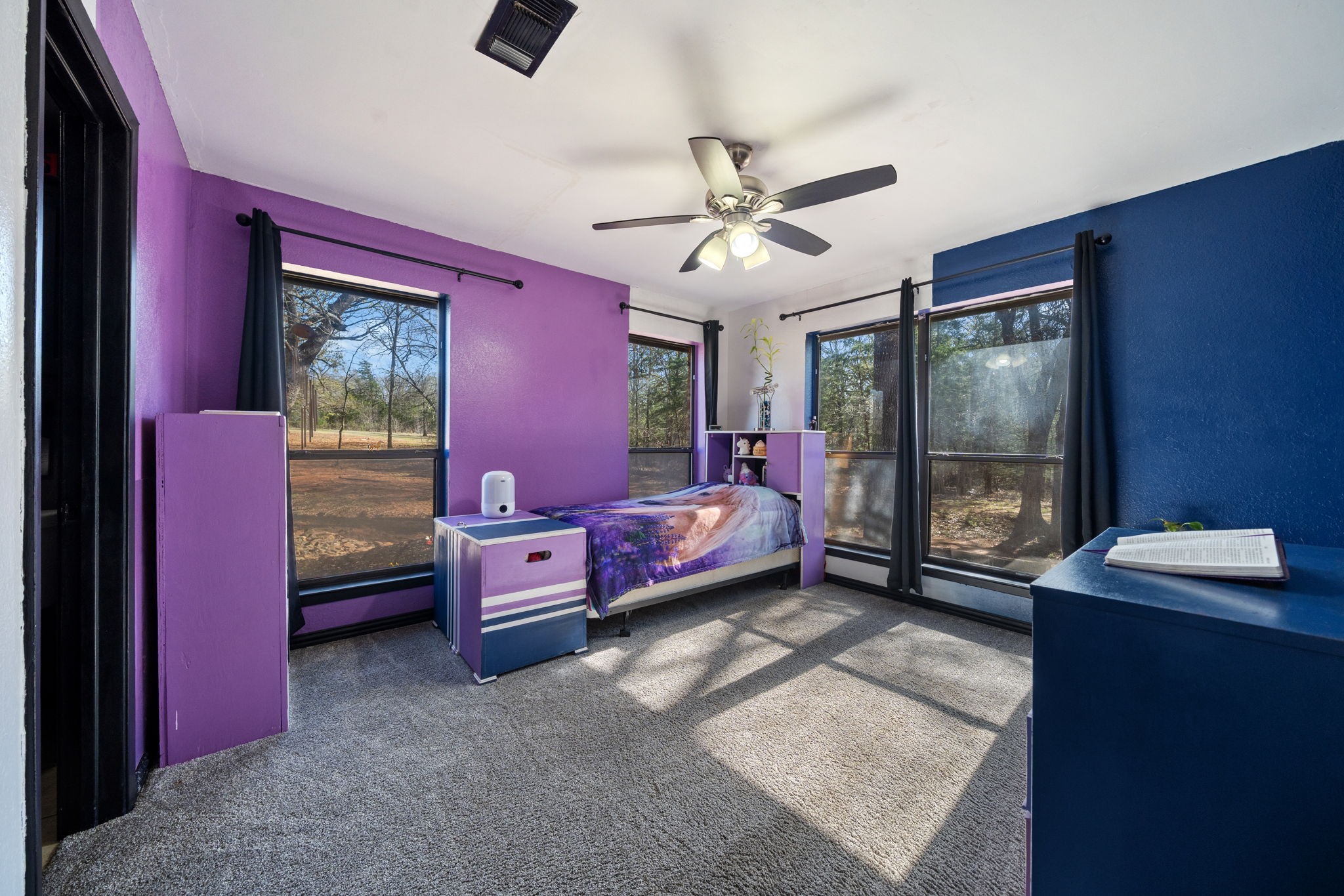 206 County Road 43340 Paris TX 75462