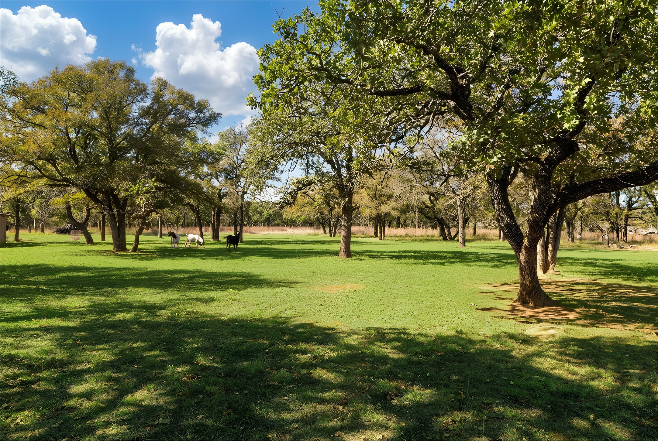 970 Live Oak Road Santo TX 76472