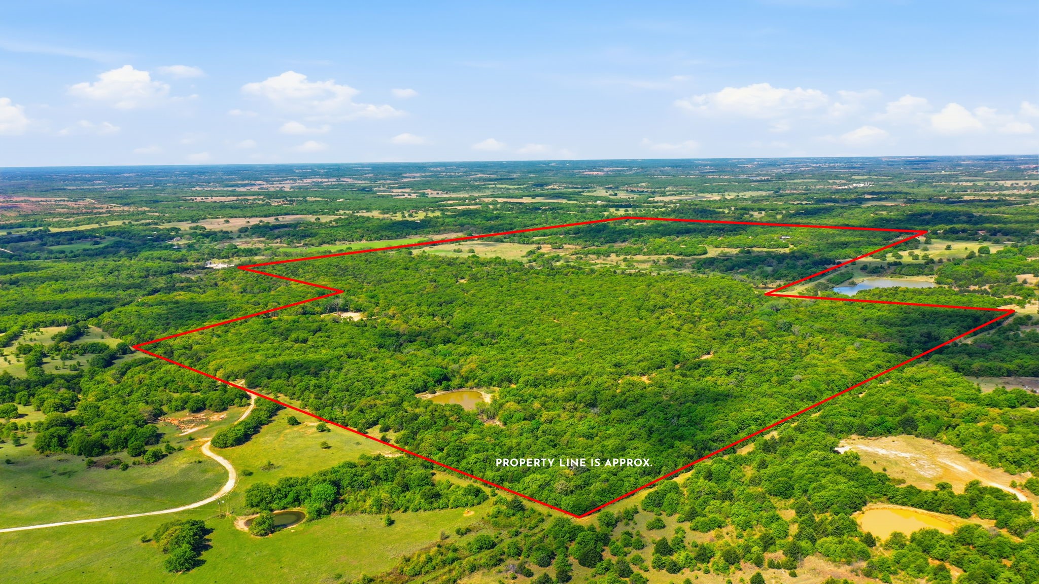 2197 Netherly Lane Forestburg TX 76239