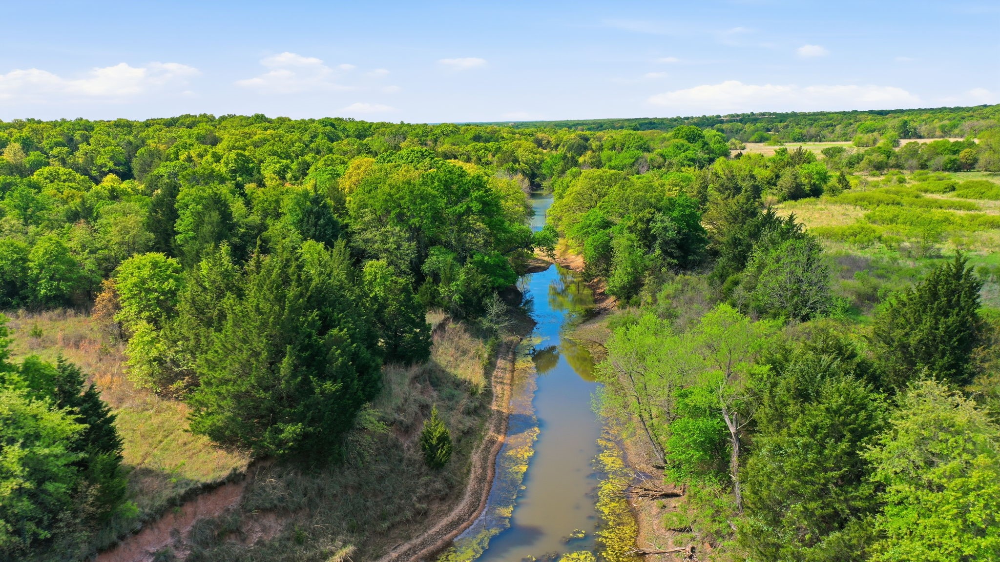 2197 Netherly Lane Forestburg TX 76239