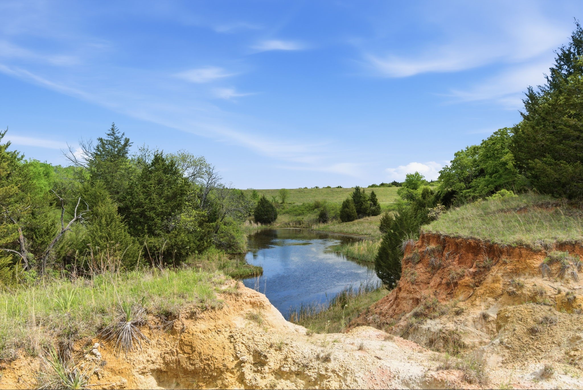 2197 Netherly Lane Forestburg TX 76239