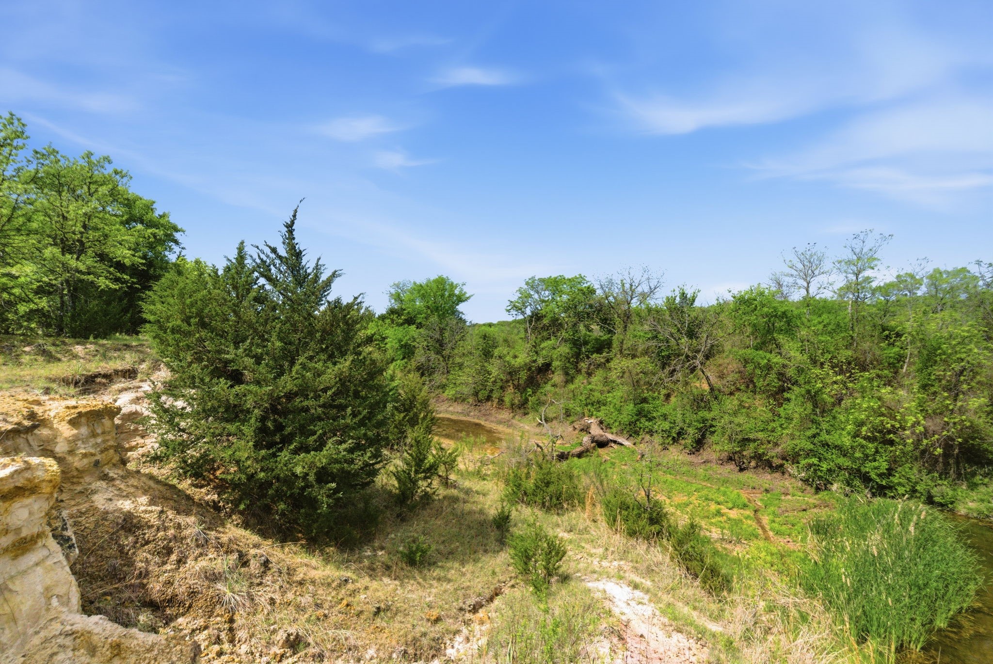 2197 Netherly Lane Forestburg TX 76239