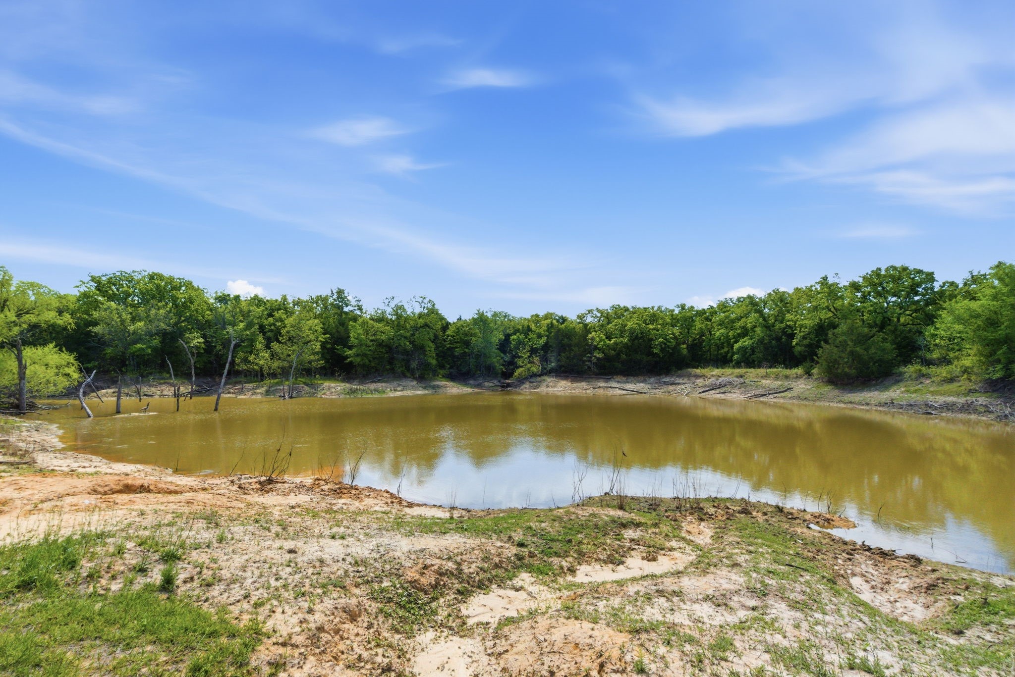 2197 Netherly Lane Forestburg TX 76239