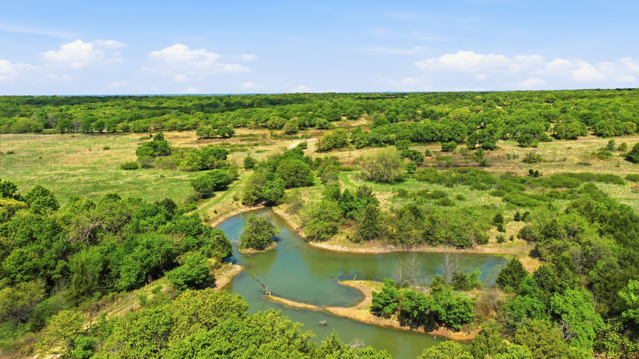 2197 Netherly Lane Forestburg TX 76239