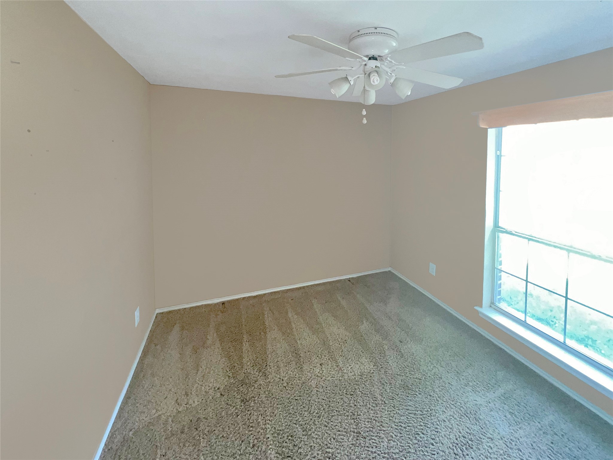 3661 Emo Street Midlothian TX 76065