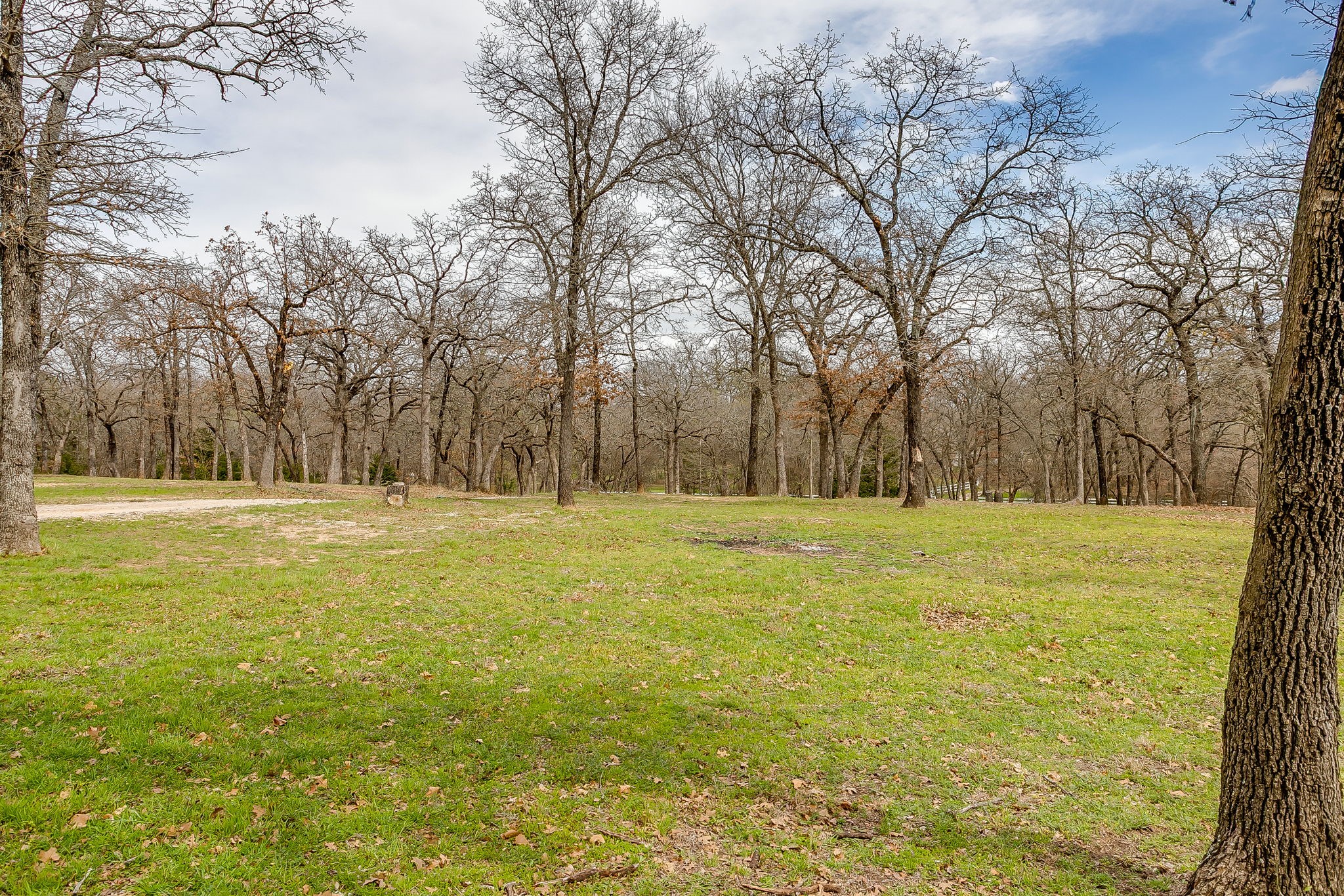 1615 Sanger Drive Springtown TX 76082