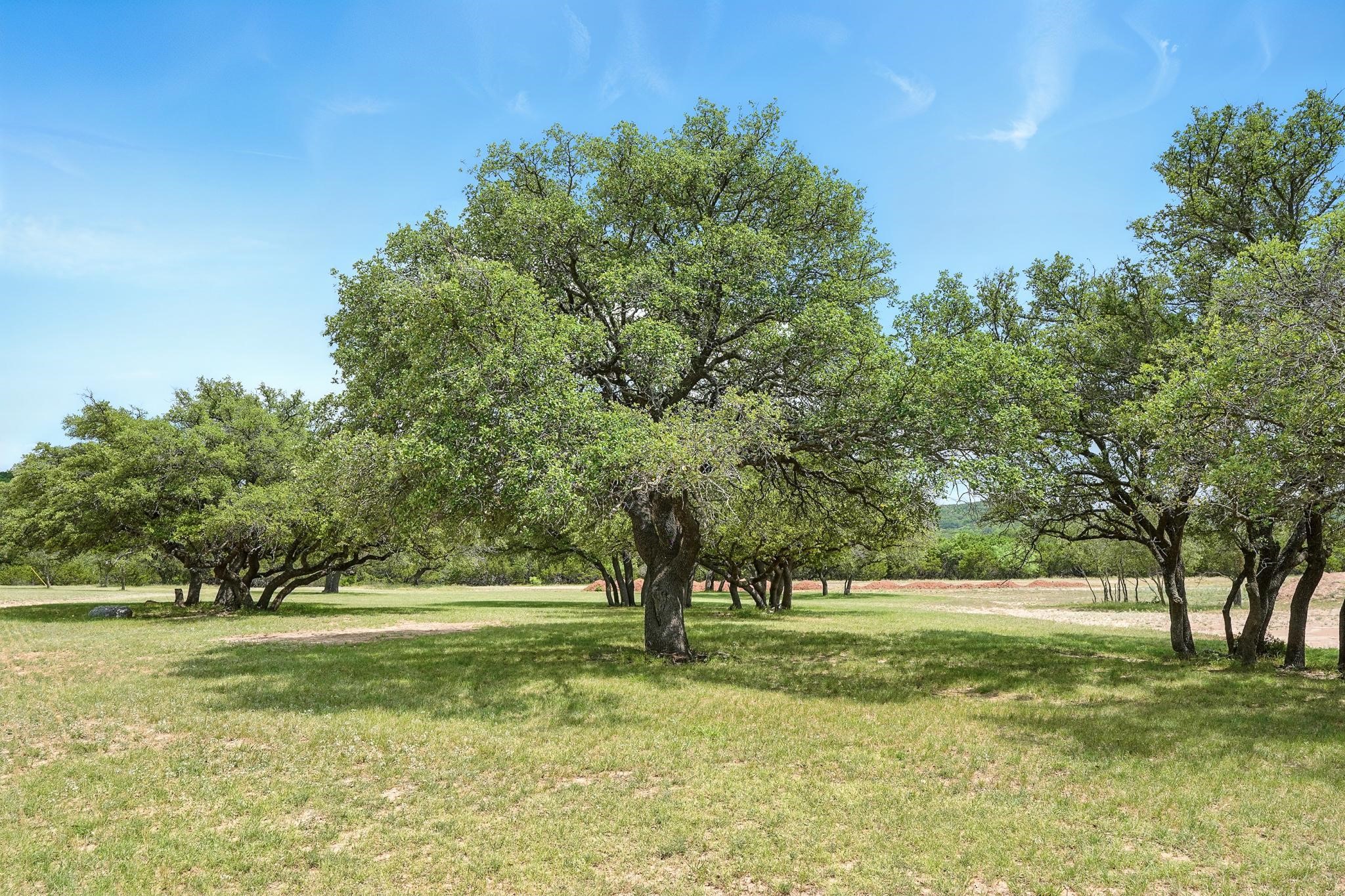 635 Cr 184 Lawn TX 79530