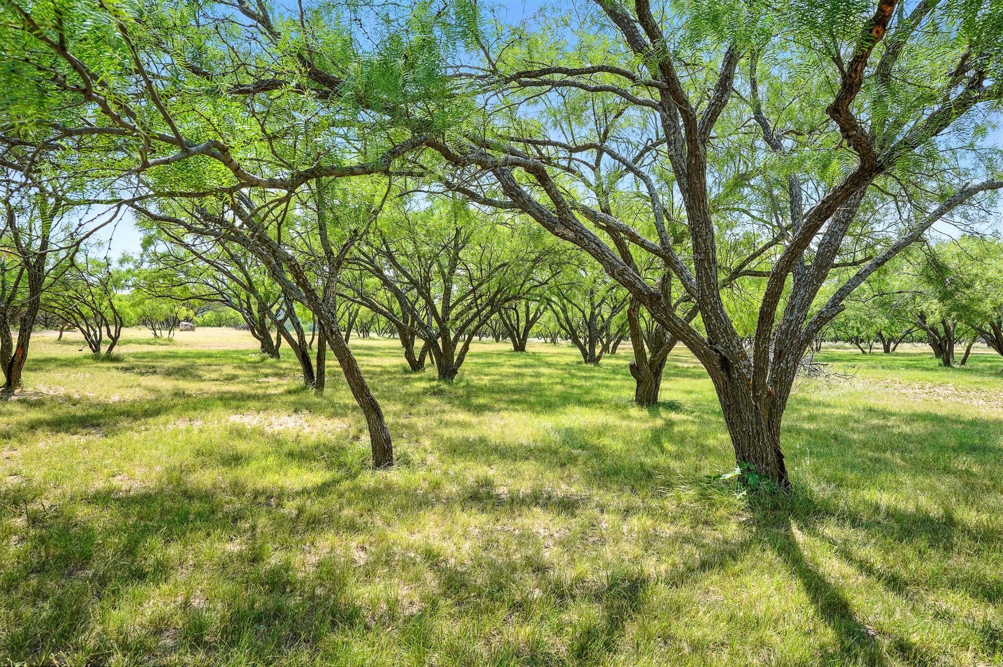 635 Cr 184 Lawn TX 79530