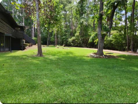 862 Lakeshore Drive Brookeland TX 75931