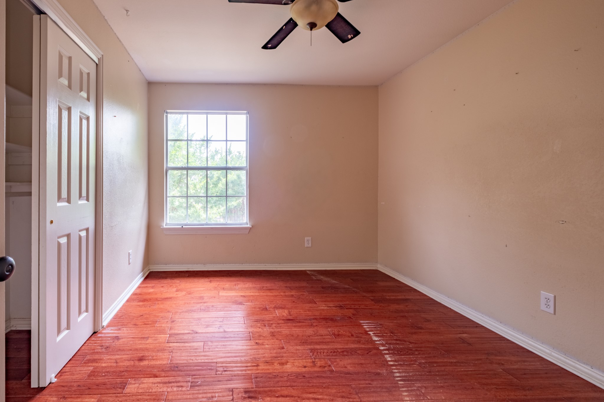 2125 Branchwood Grapevine TX 76051