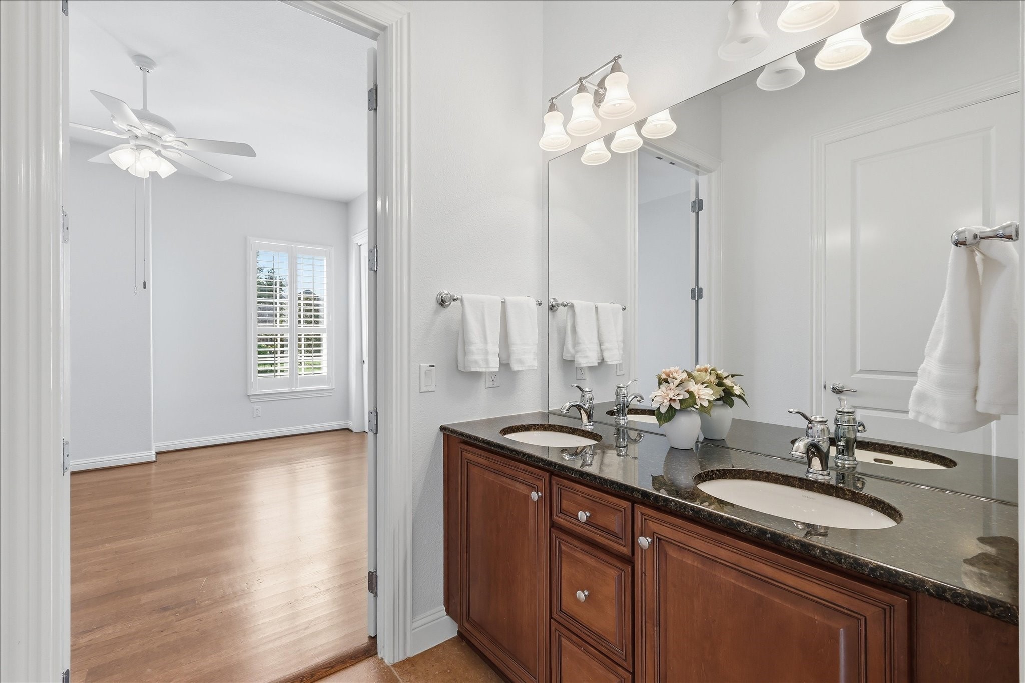 7045 Lake Mead Court Frisco TX 75036