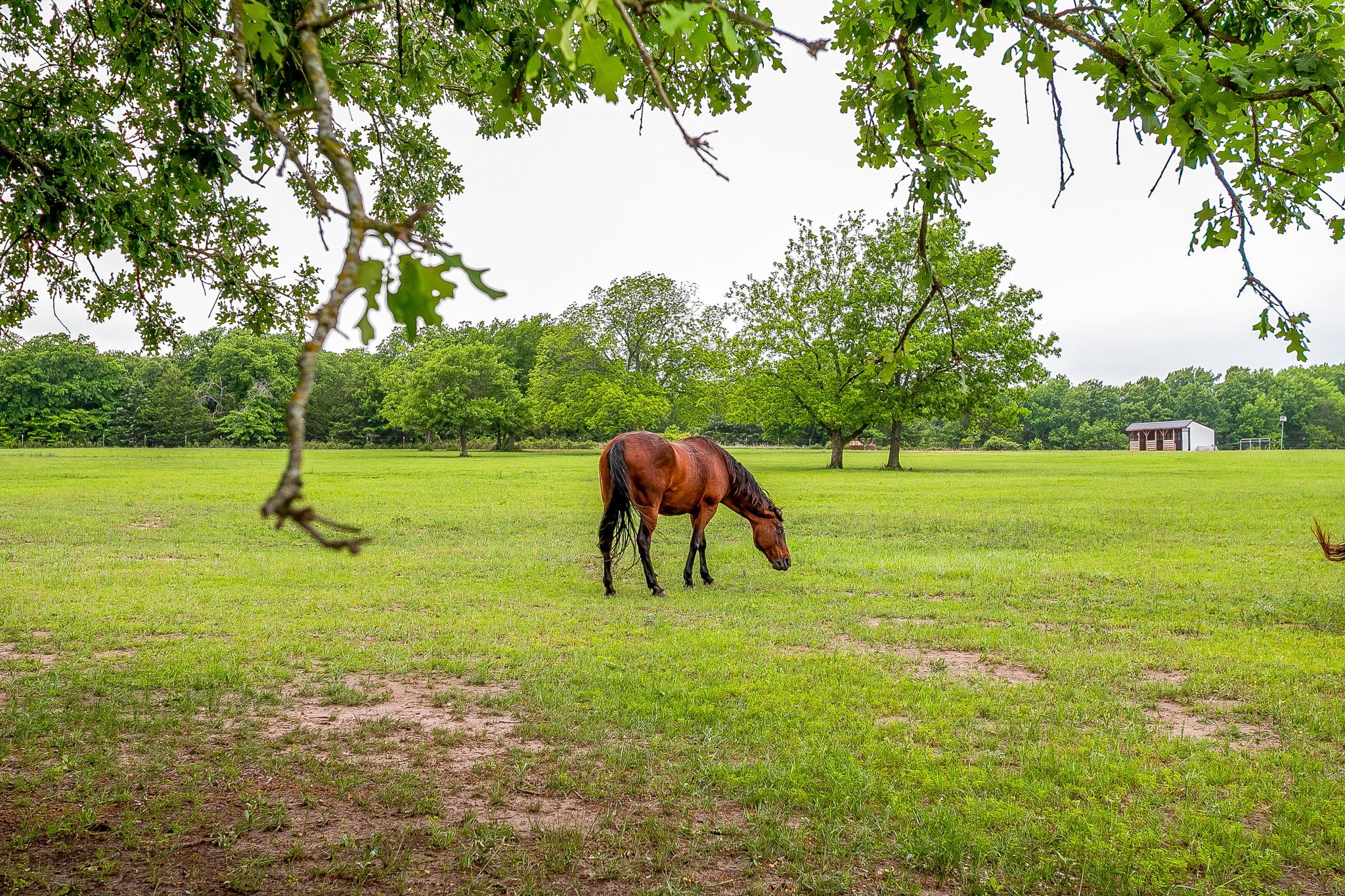 160 Private Road 2308 Decatur TX 76234