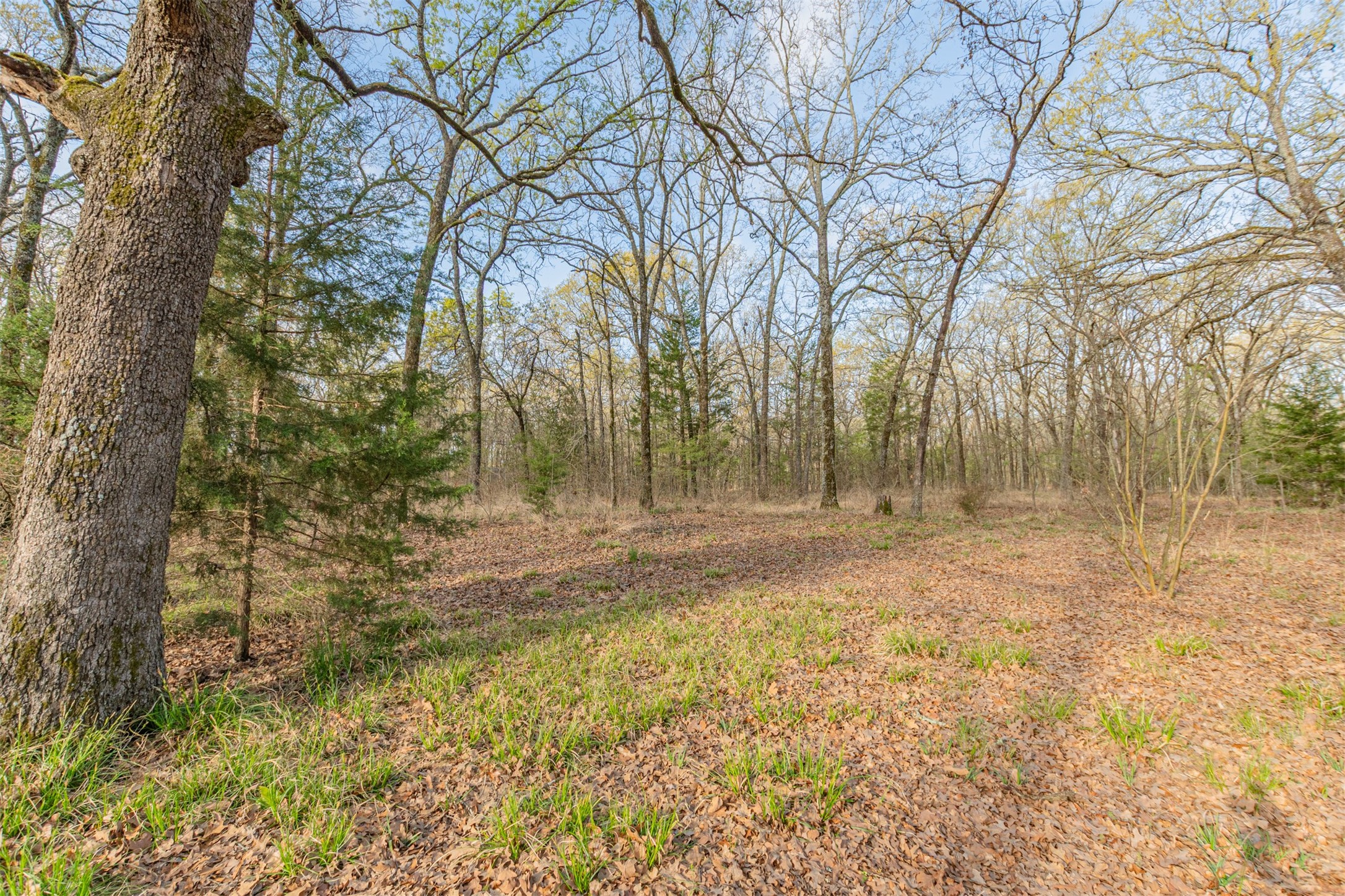 201 Rs County Road 1399 Point TX 75472