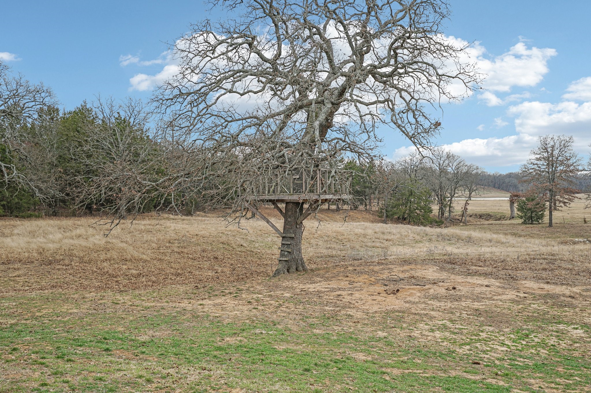 718 County Road 232 Collinsville TX 76233
