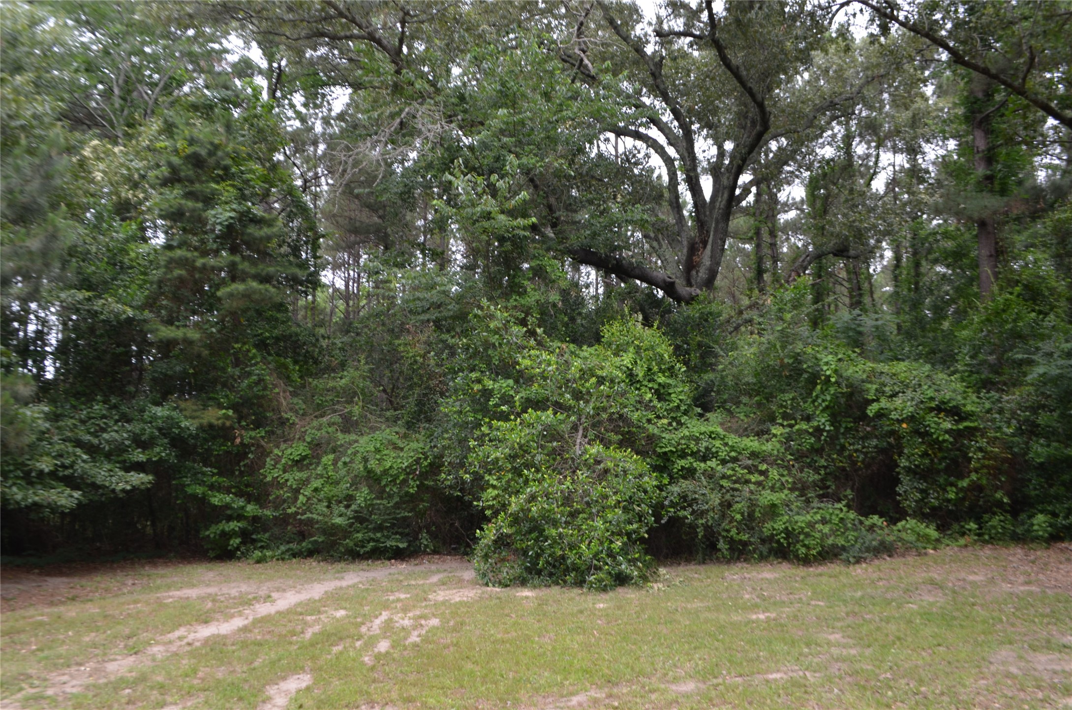 1508 Highway 135 Overton TX 75684