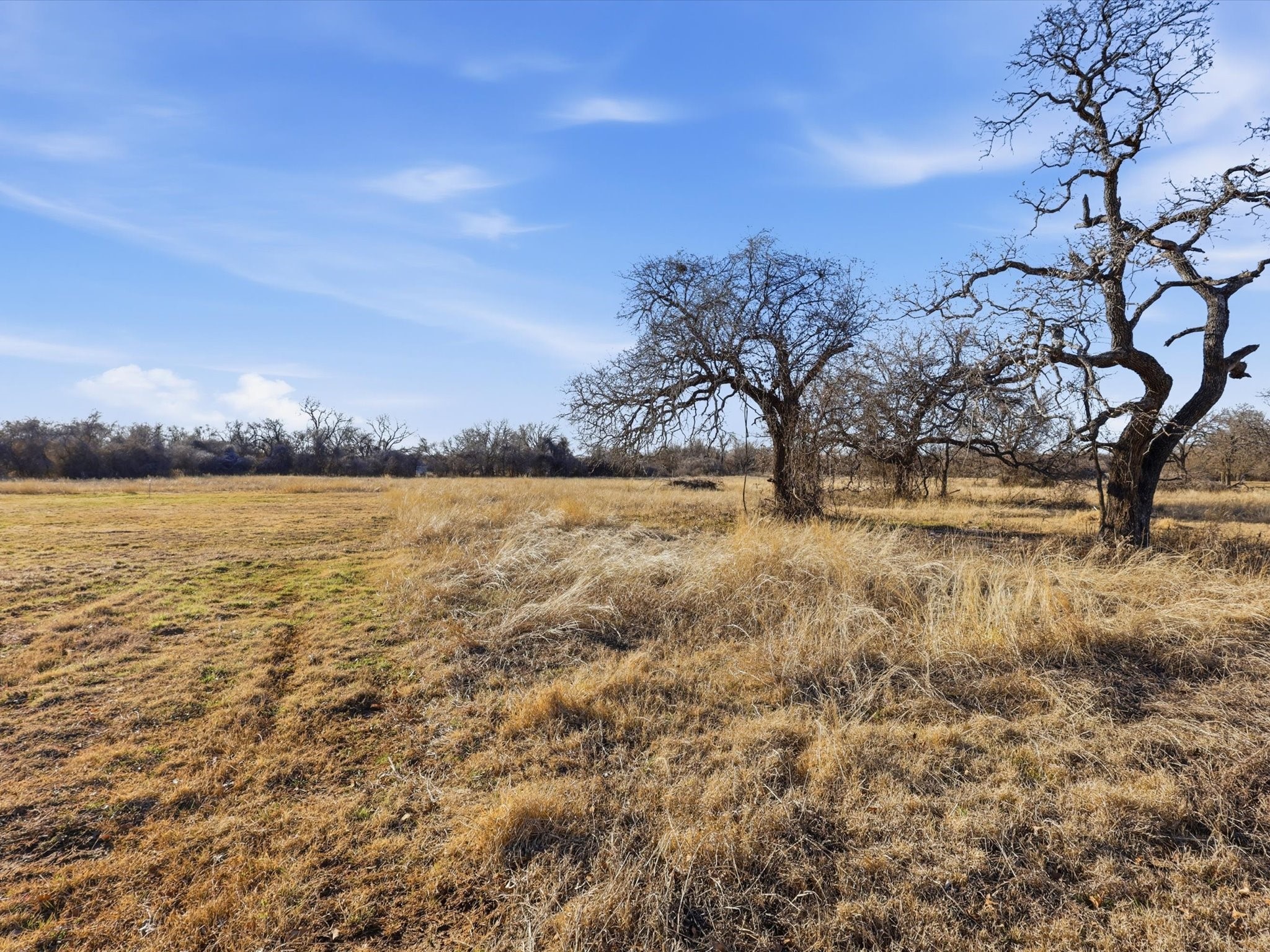 231 Julian Lane Poolville TX 76487