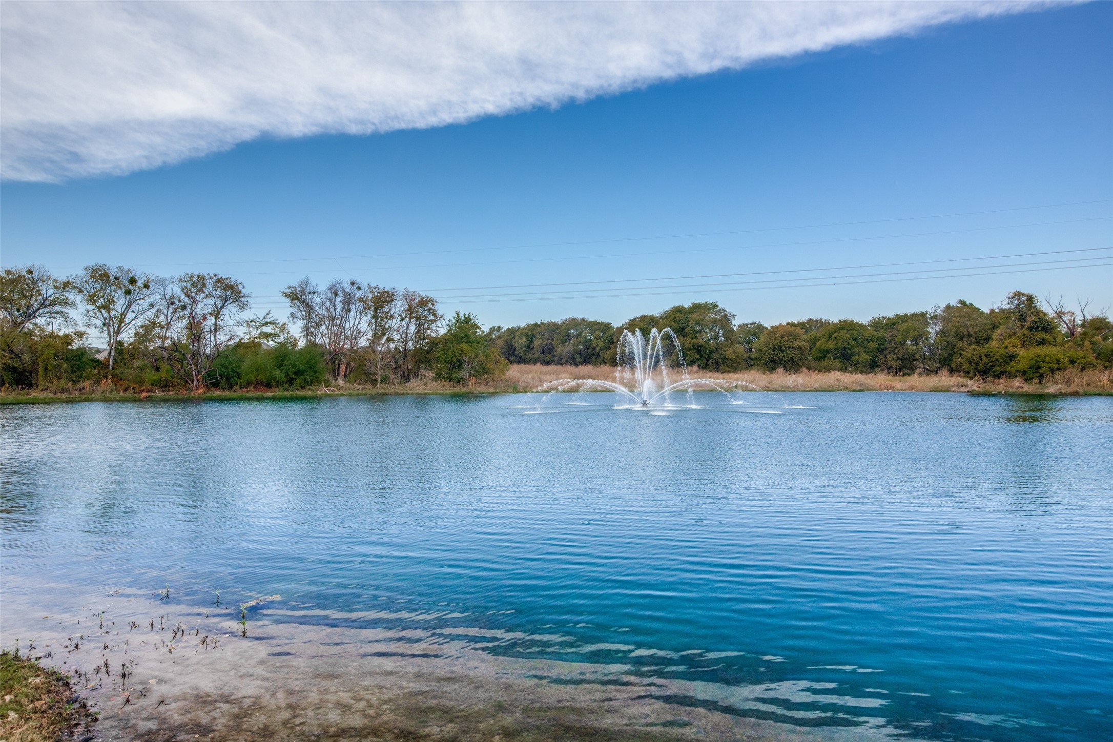 2951 Whitby Street Prosper TX 75078