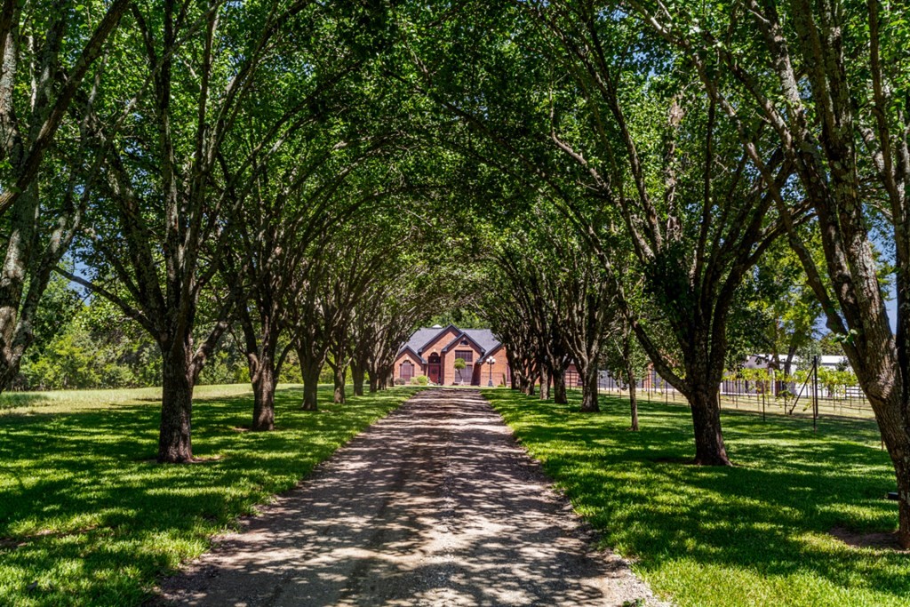 1933 Vz County Road 2721 Mabank TX 75147